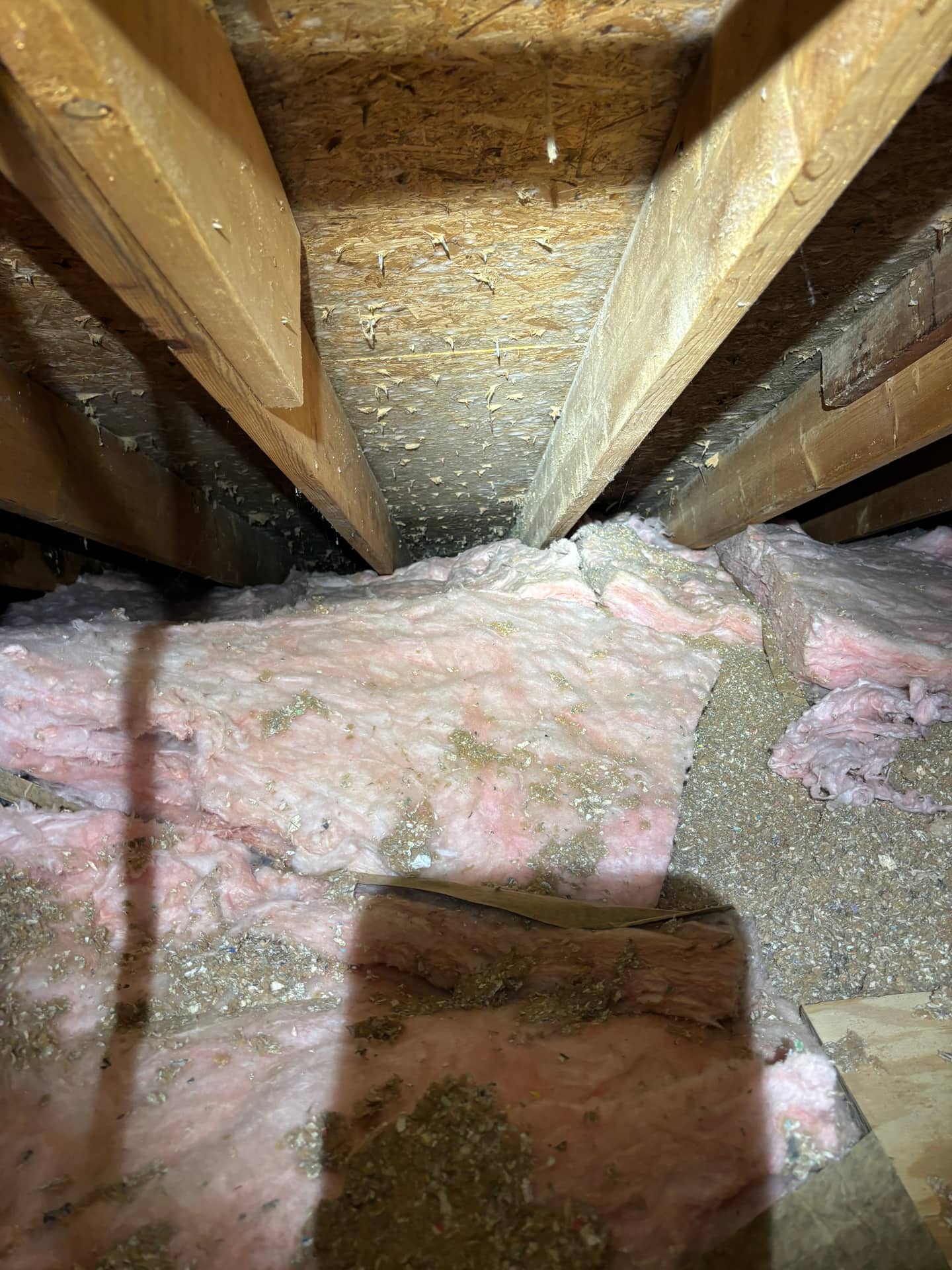 Crawlspaces & Subfloors — mold remediation work