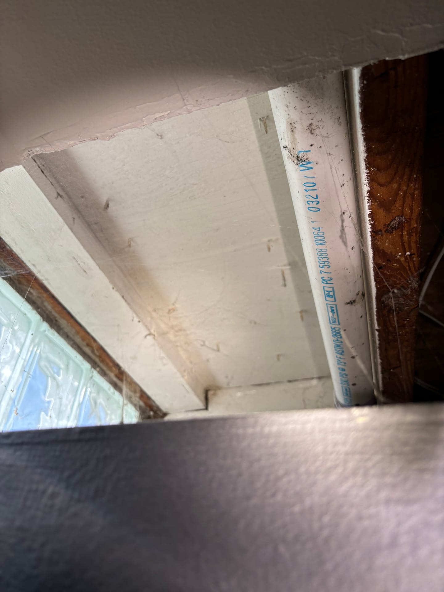 Attics & Roofs — mold remediation work