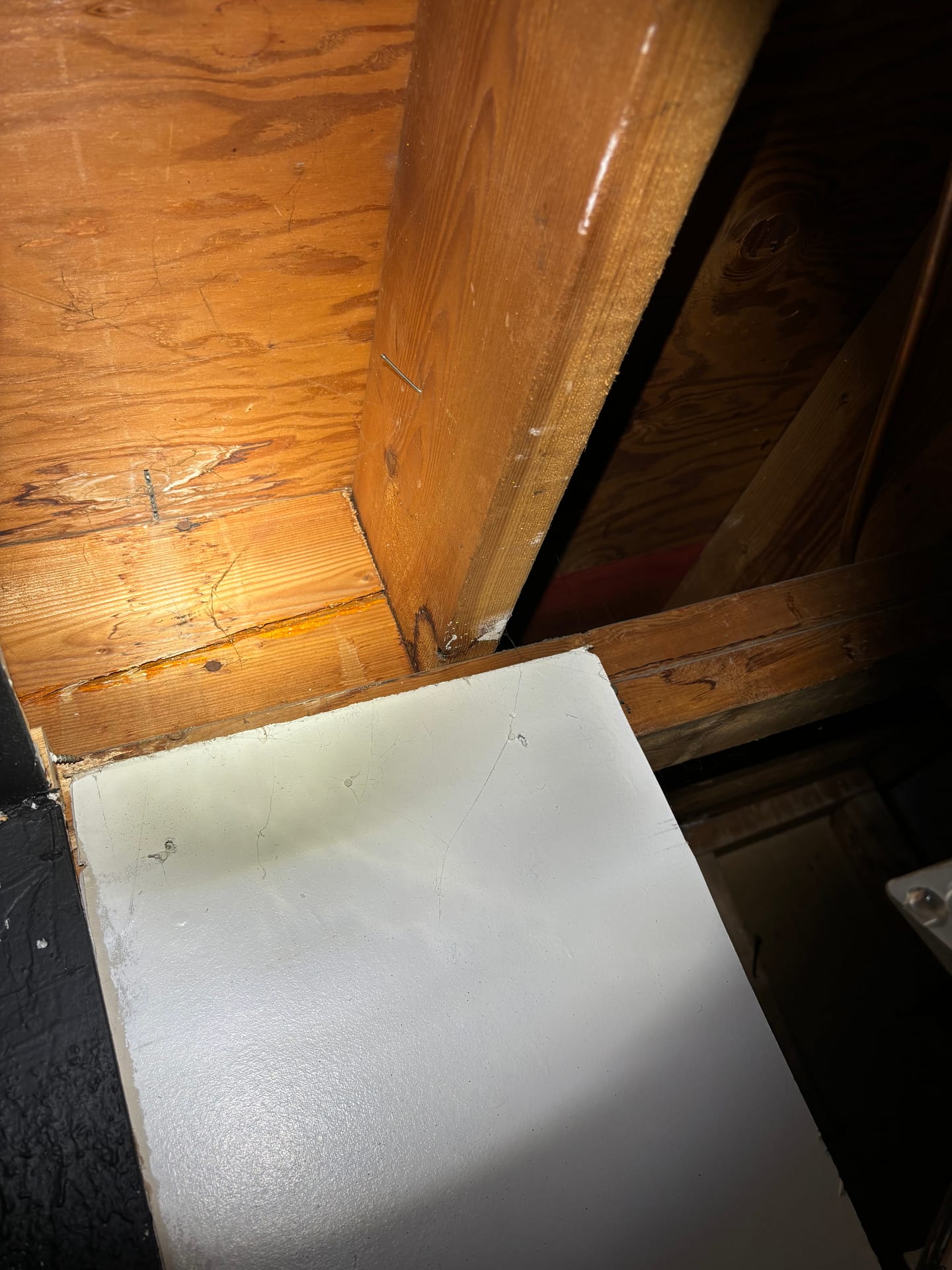 Attics & Roofs — mold remediation work