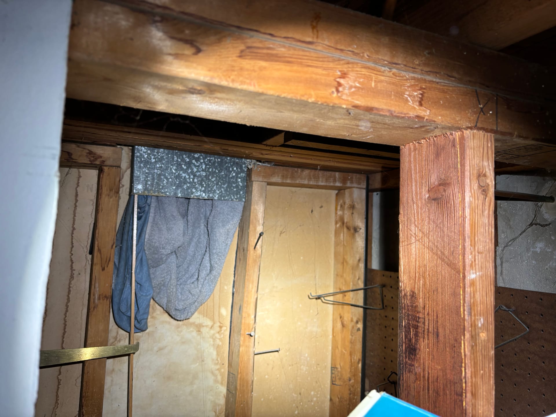 Crawlspaces & Subfloors — mold remediation work