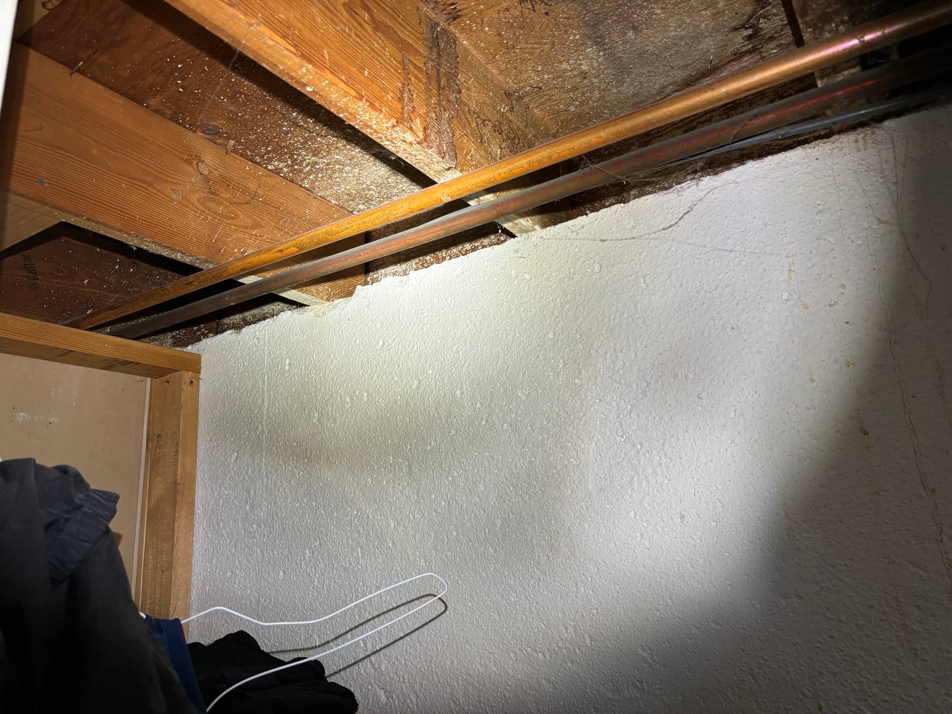 Attics & Roofs — mold remediation work