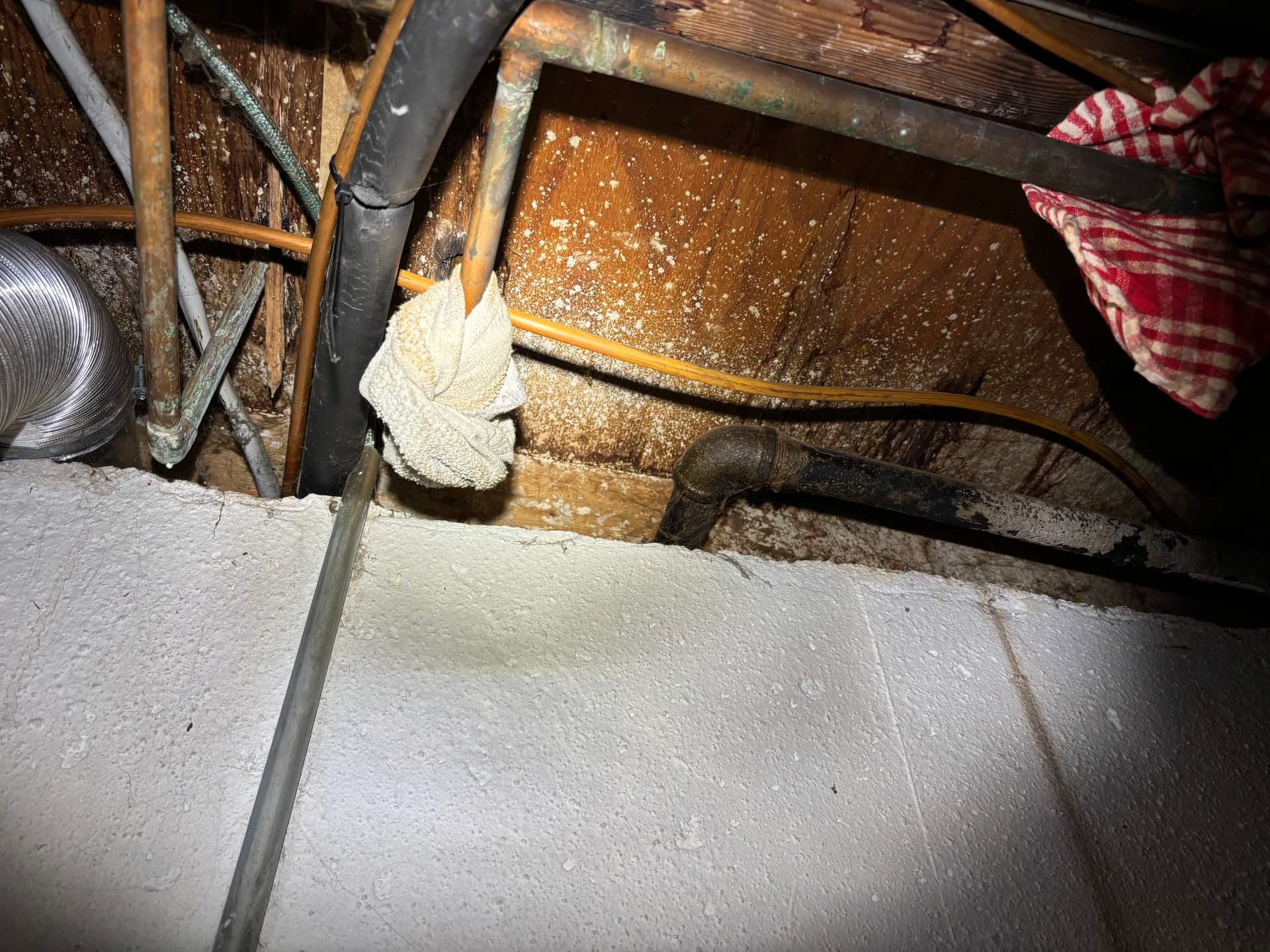 Crawlspaces & Subfloors — mold remediation work
