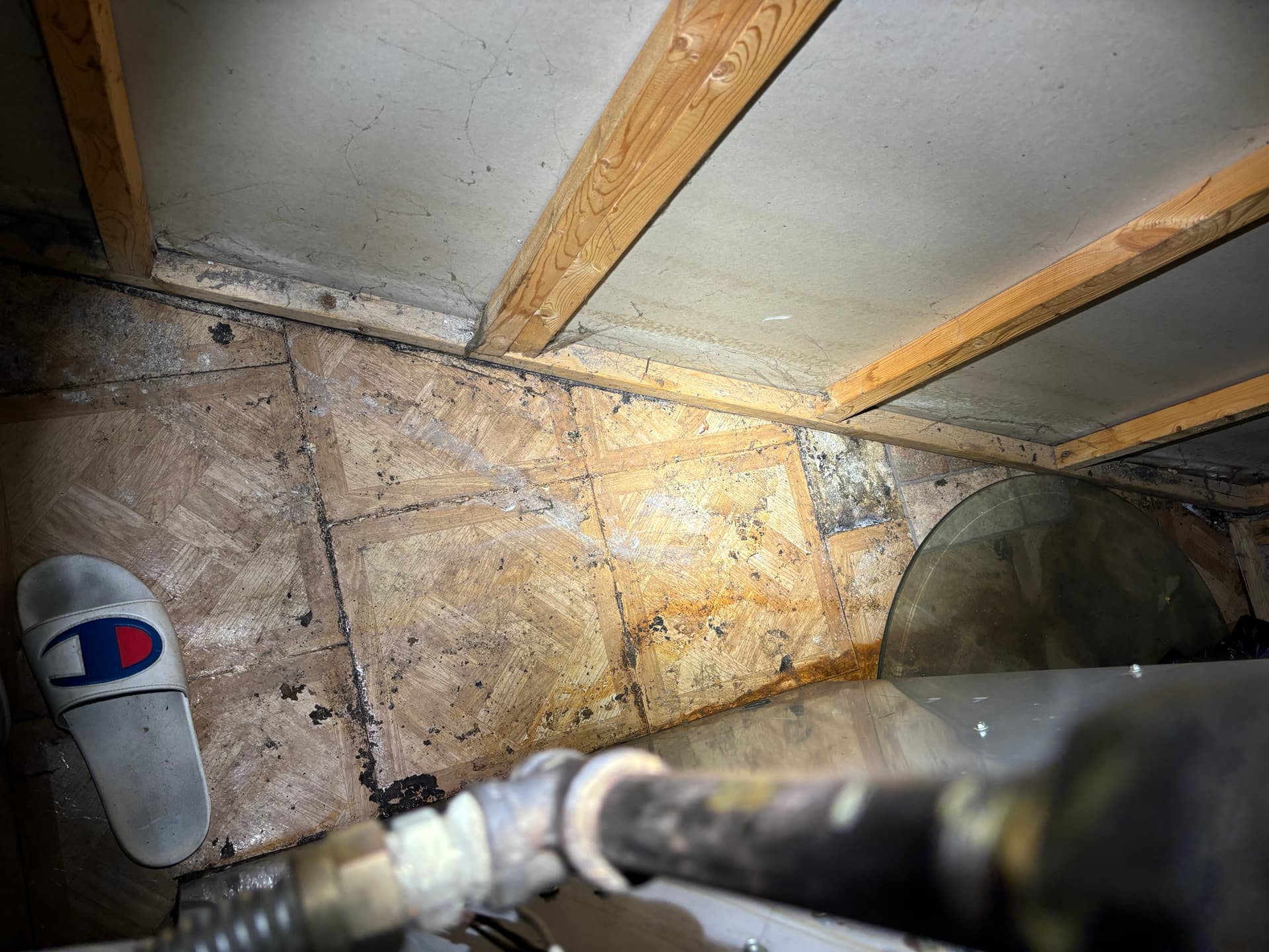 Crawlspaces & Subfloors — mold remediation work