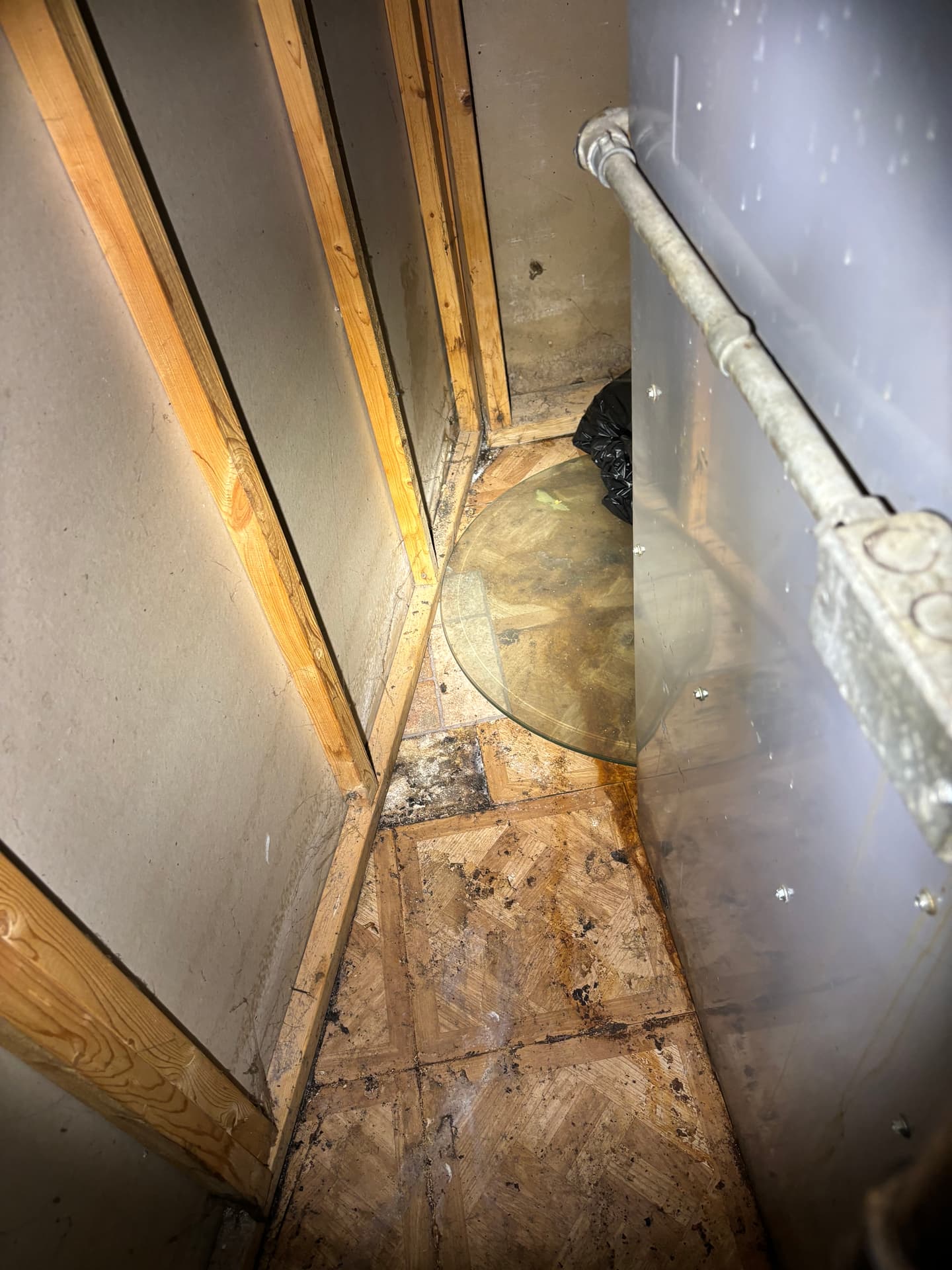 Crawlspaces & Subfloors — mold remediation work