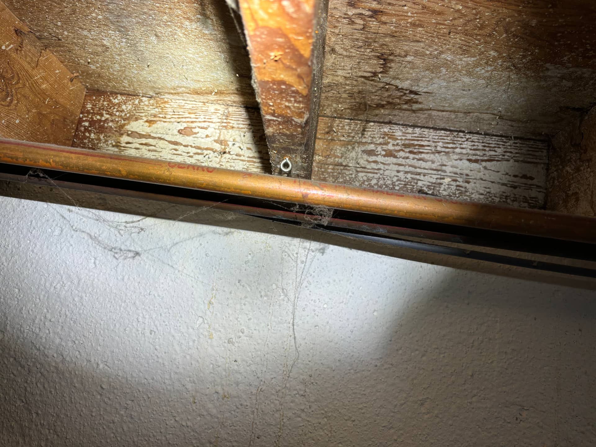Crawlspaces & Subfloors — mold remediation work