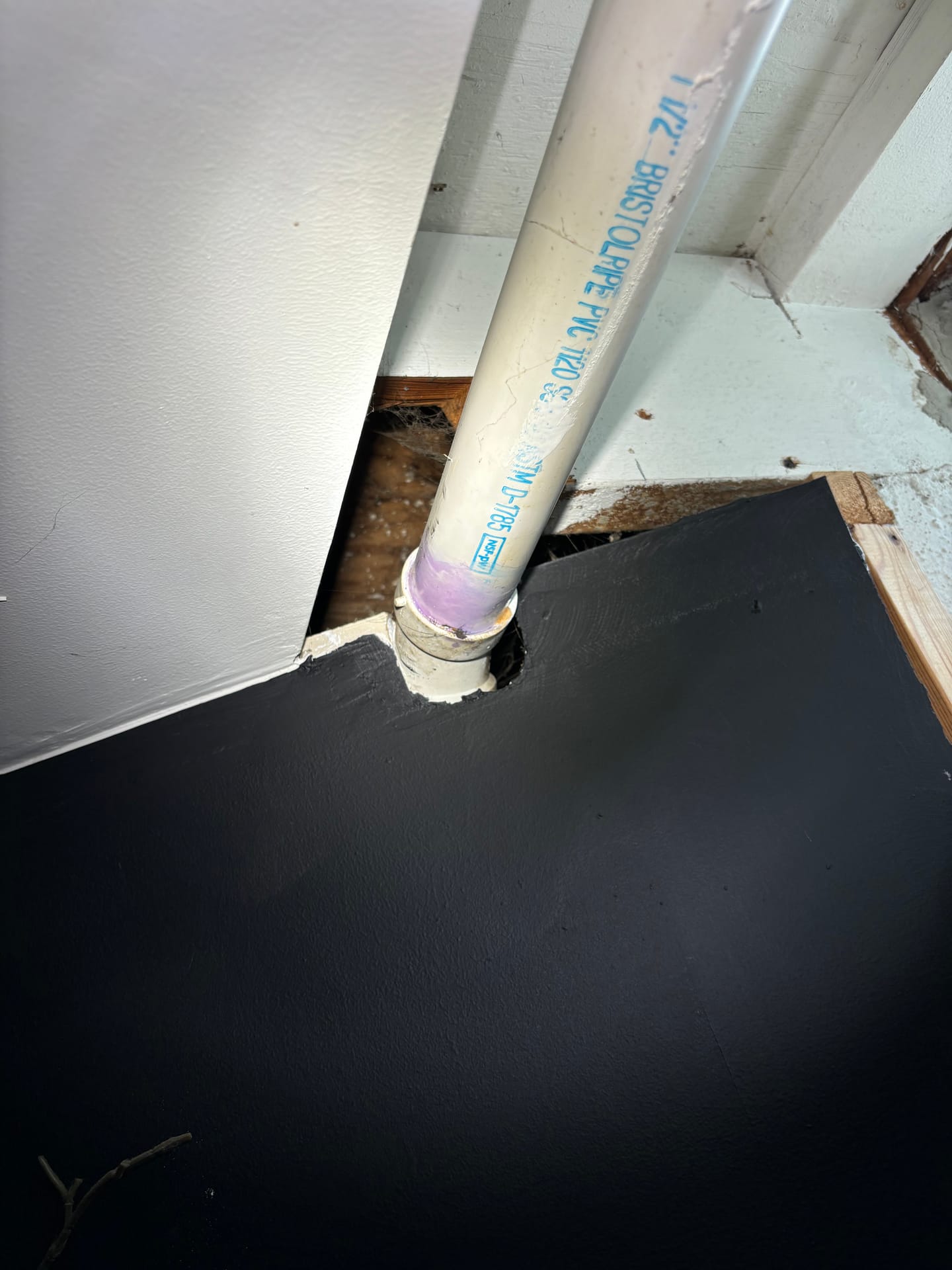 Attics & Roofs — mold remediation work