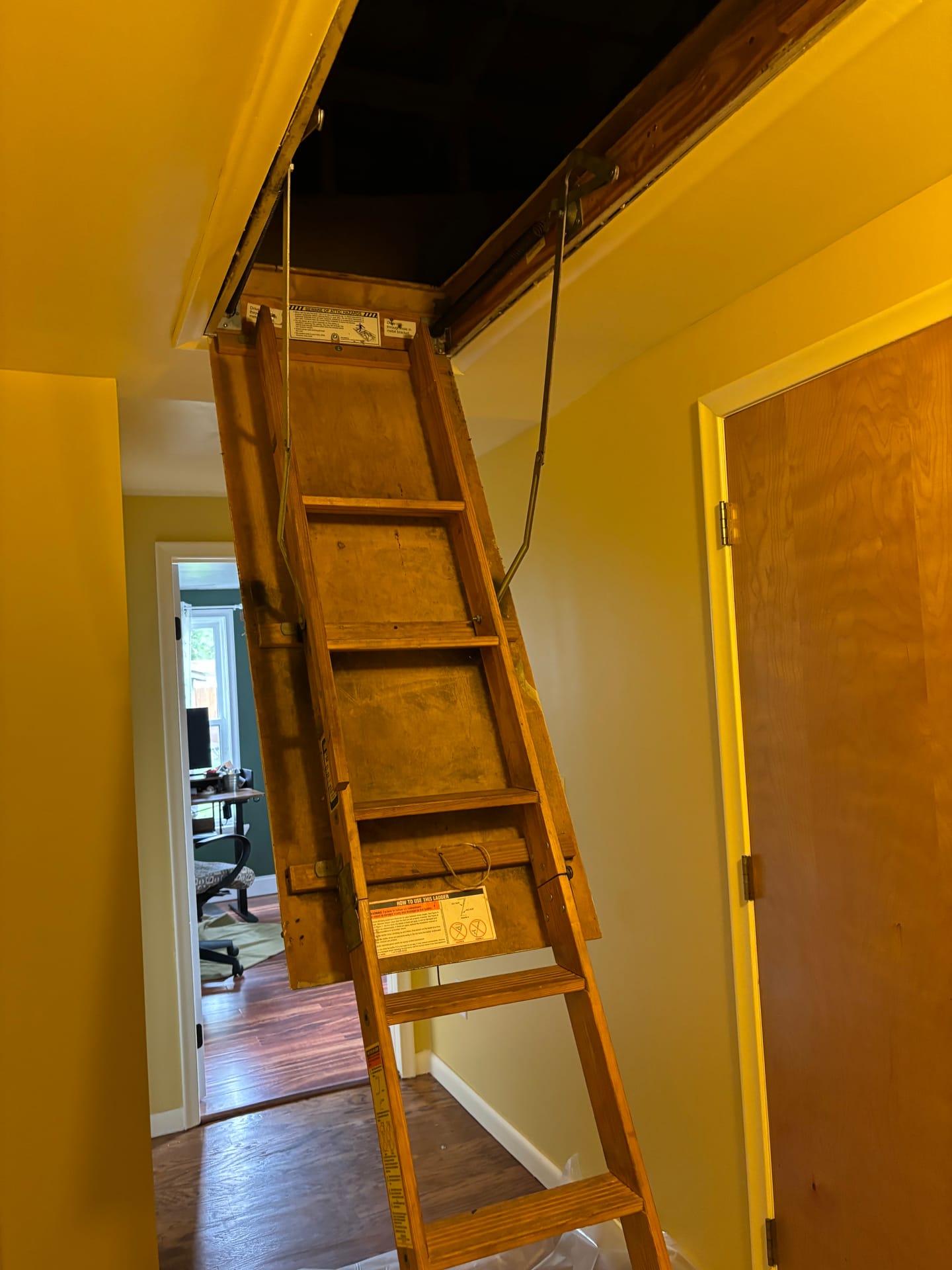 Attics & Roofs — mold remediation work