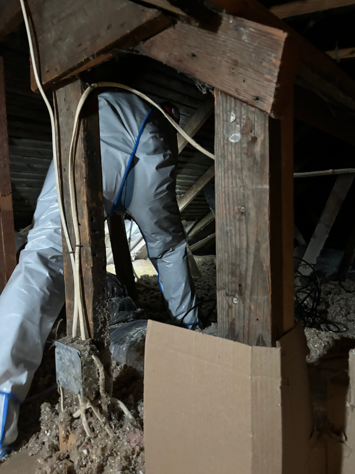 Remediation in Progress — mold remediation work