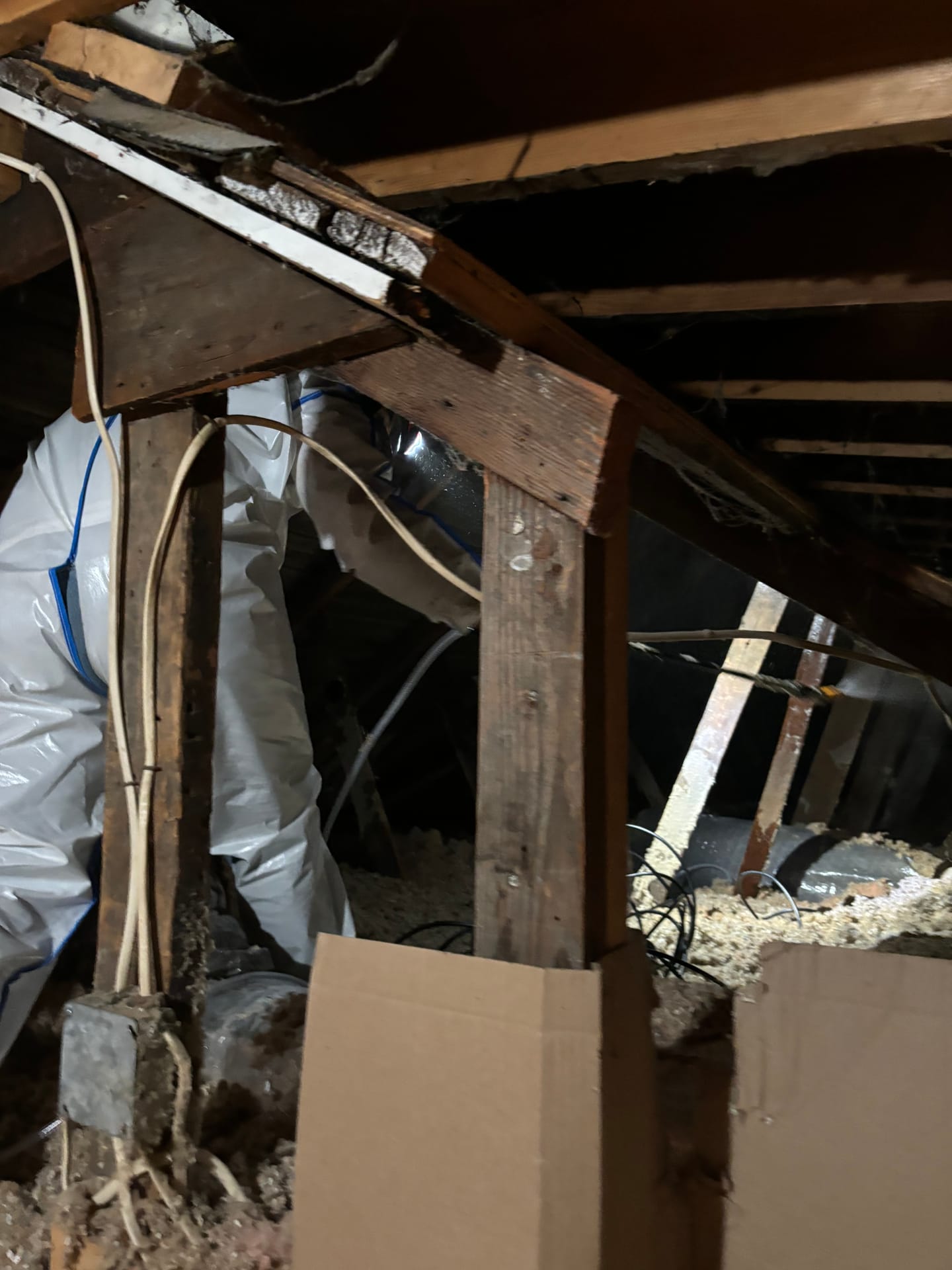 Attics & Roofs — mold remediation work