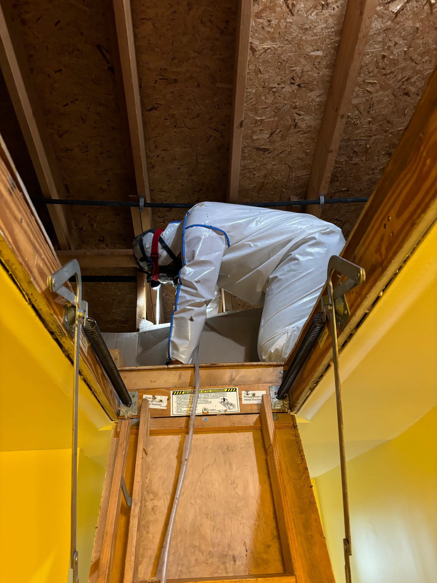 Remediation in Progress — mold remediation work