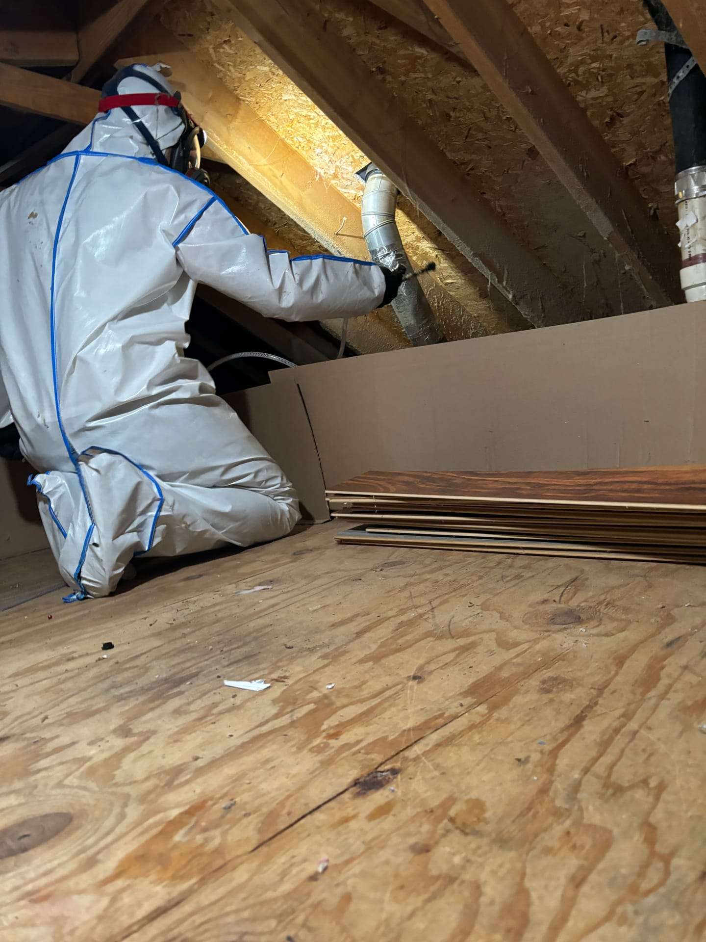 Remediation in Progress — mold remediation work