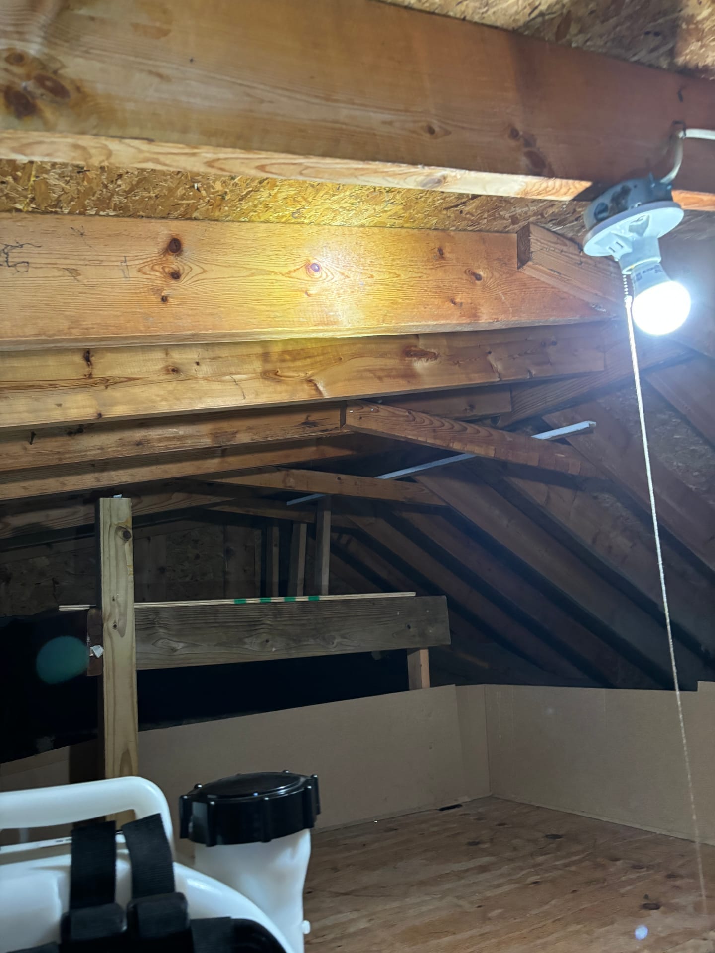 Attics & Roofs — mold remediation work