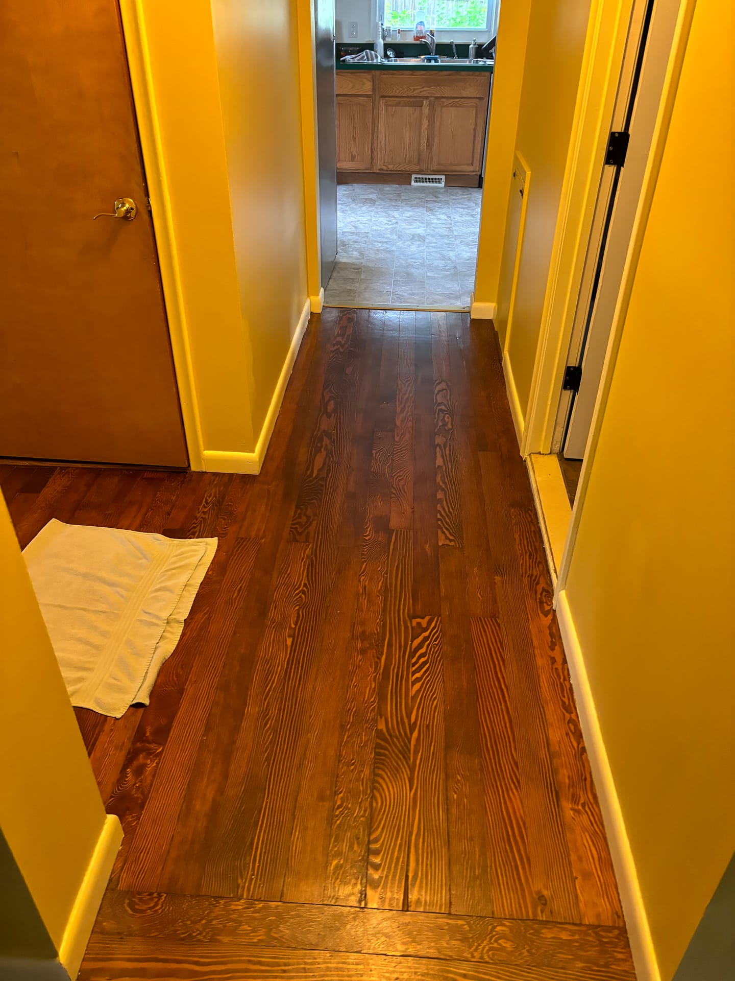 Bathrooms & Living Spaces — mold remediation work