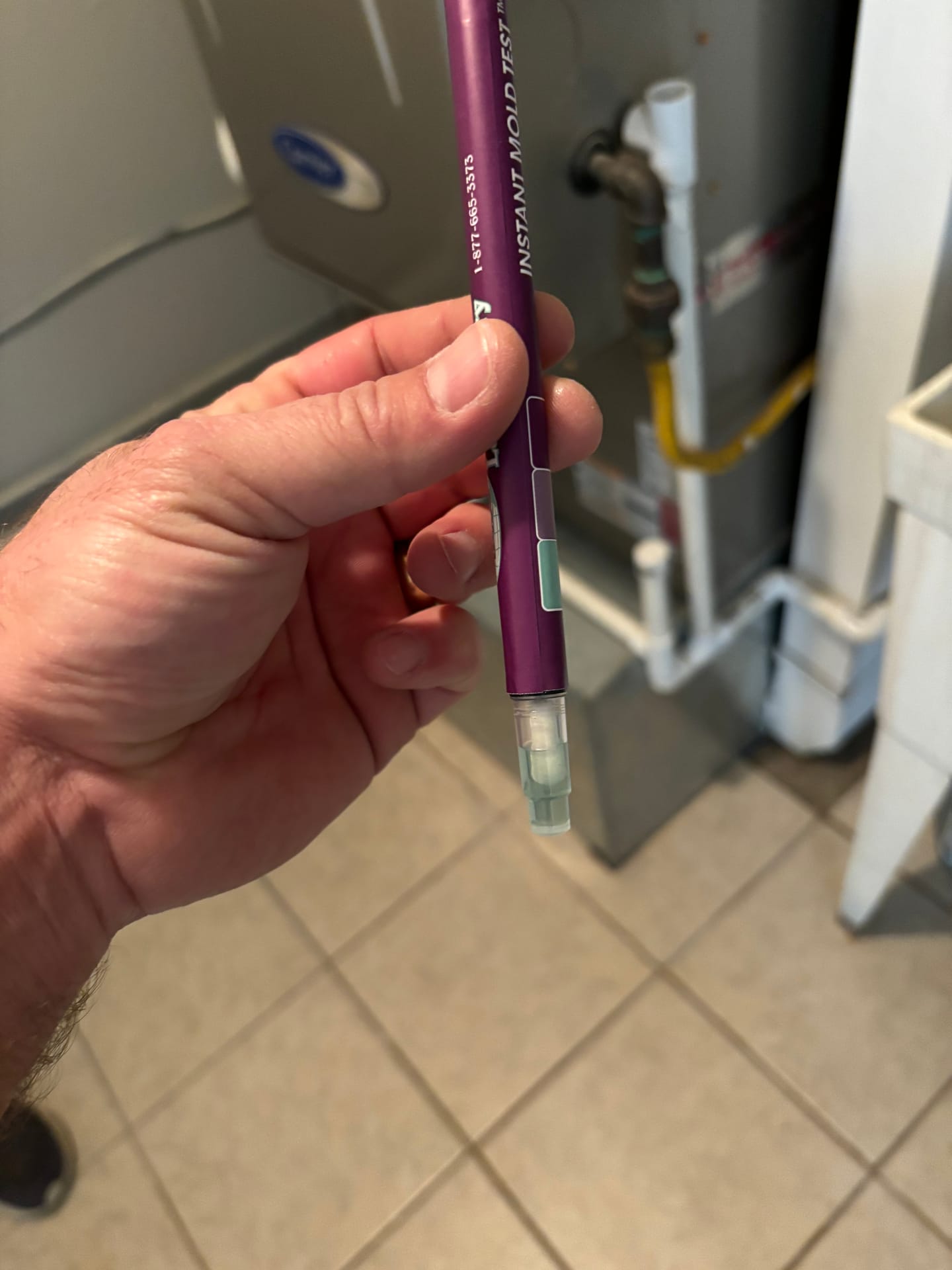 Inspection & Testing — mold remediation work