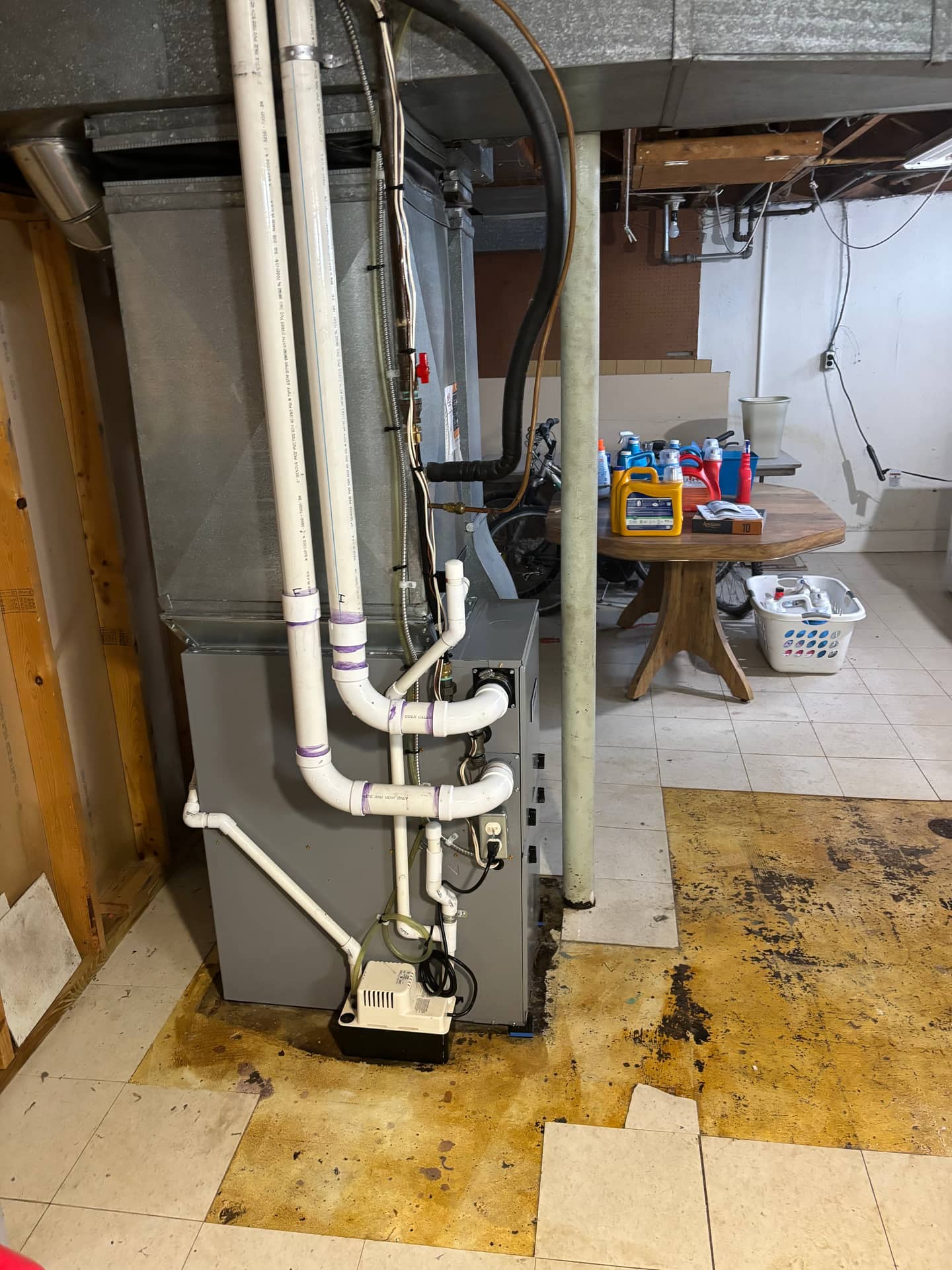 Basements & Walls — mold remediation work