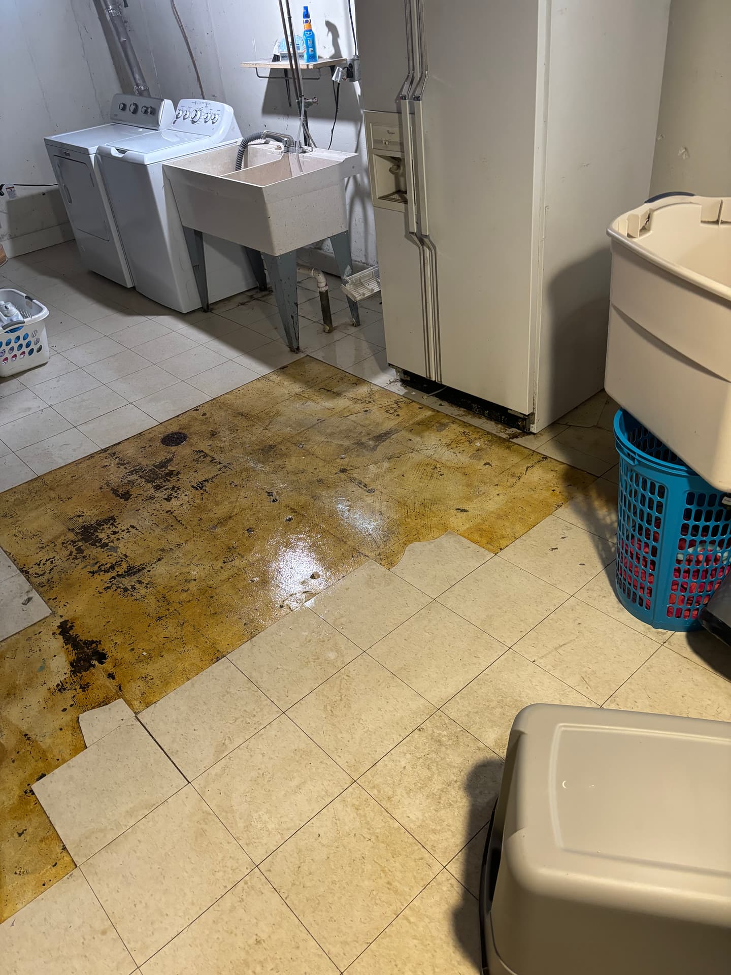 Basements & Walls — mold remediation work