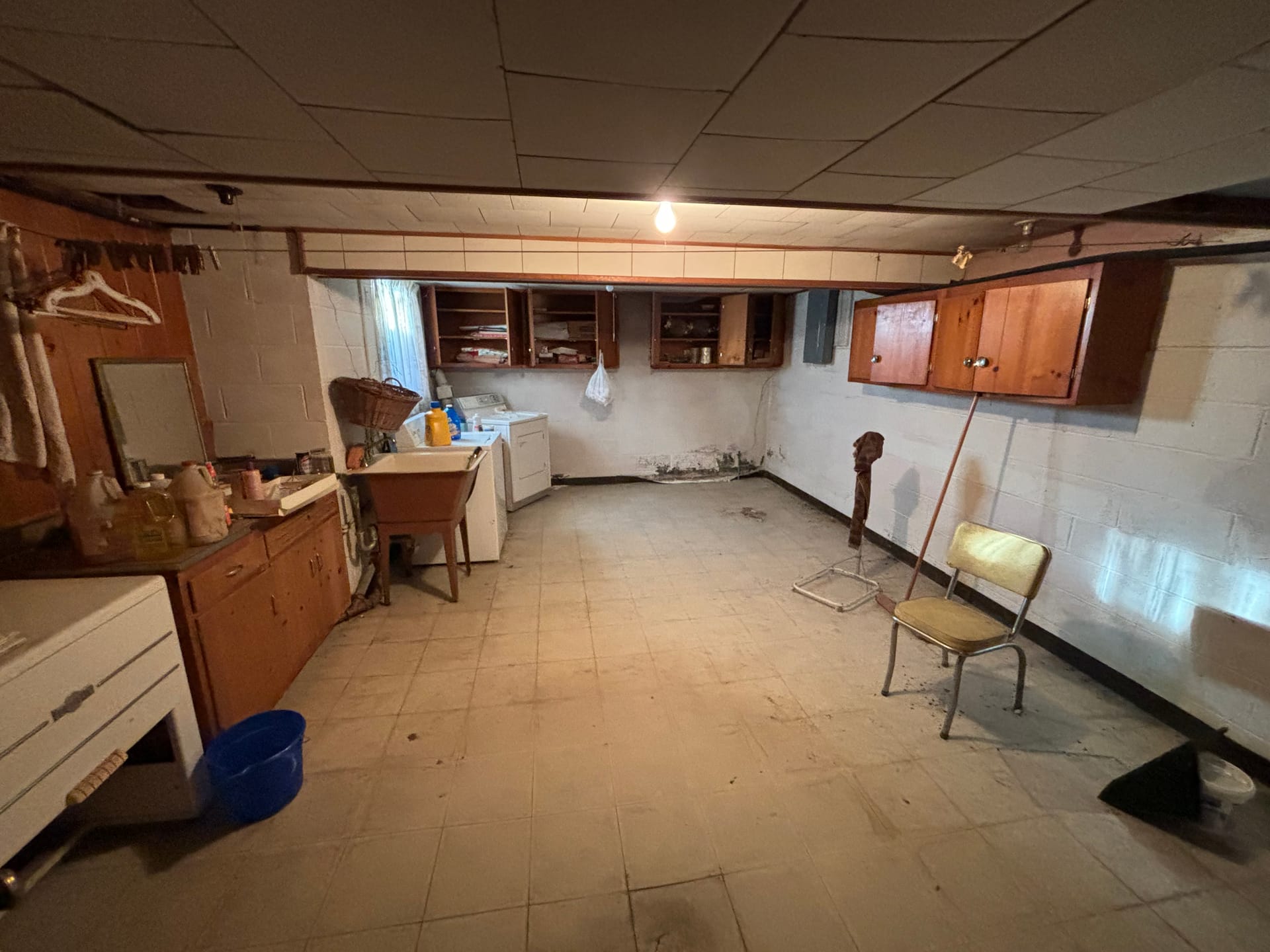 Basements & Walls — mold remediation work