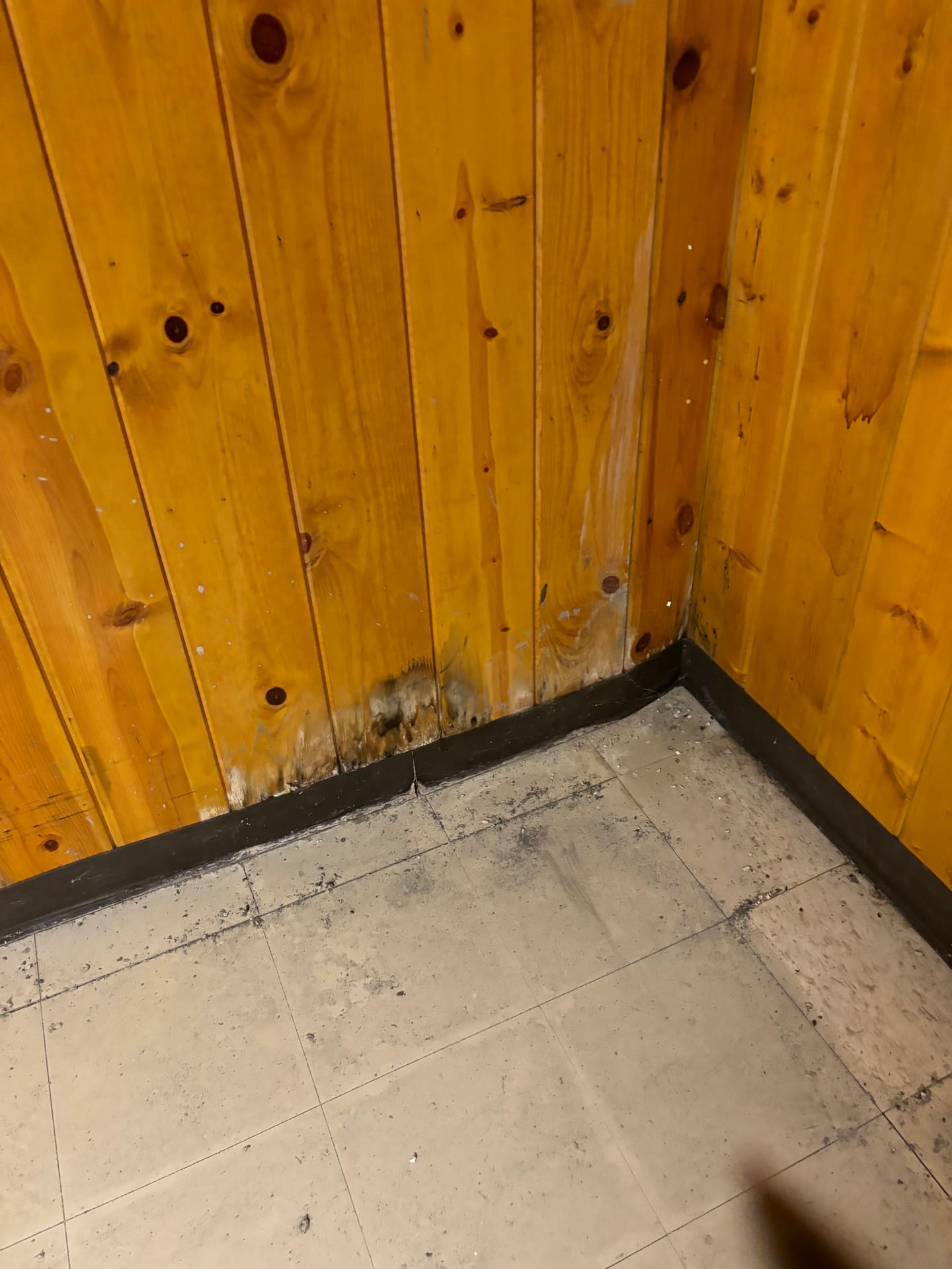 Basements & Walls — mold remediation work