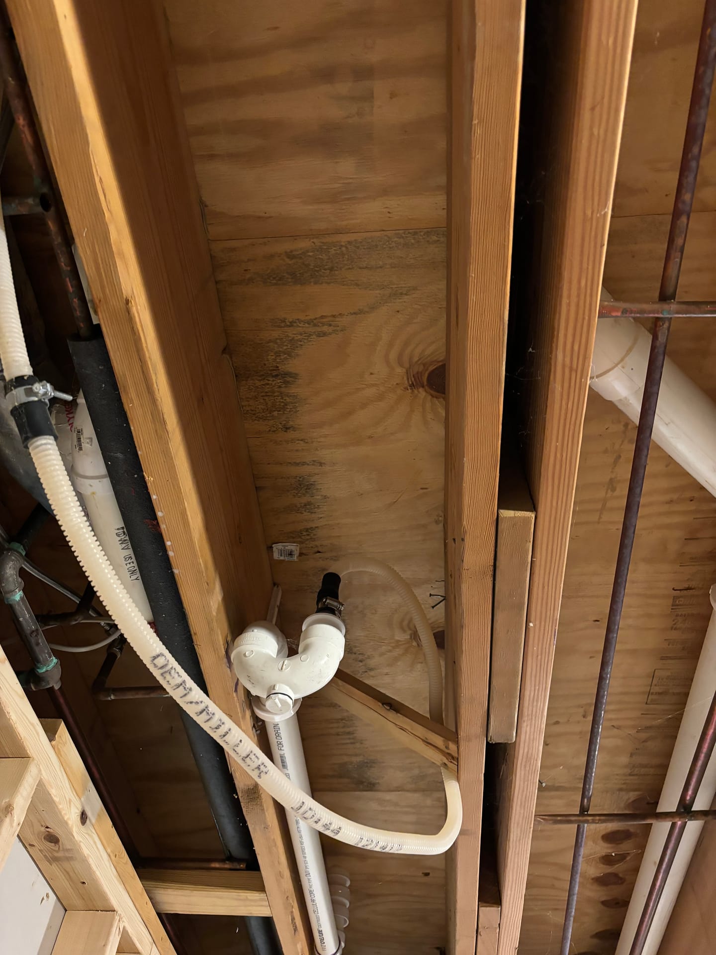 Crawlspaces & Subfloors — mold remediation work