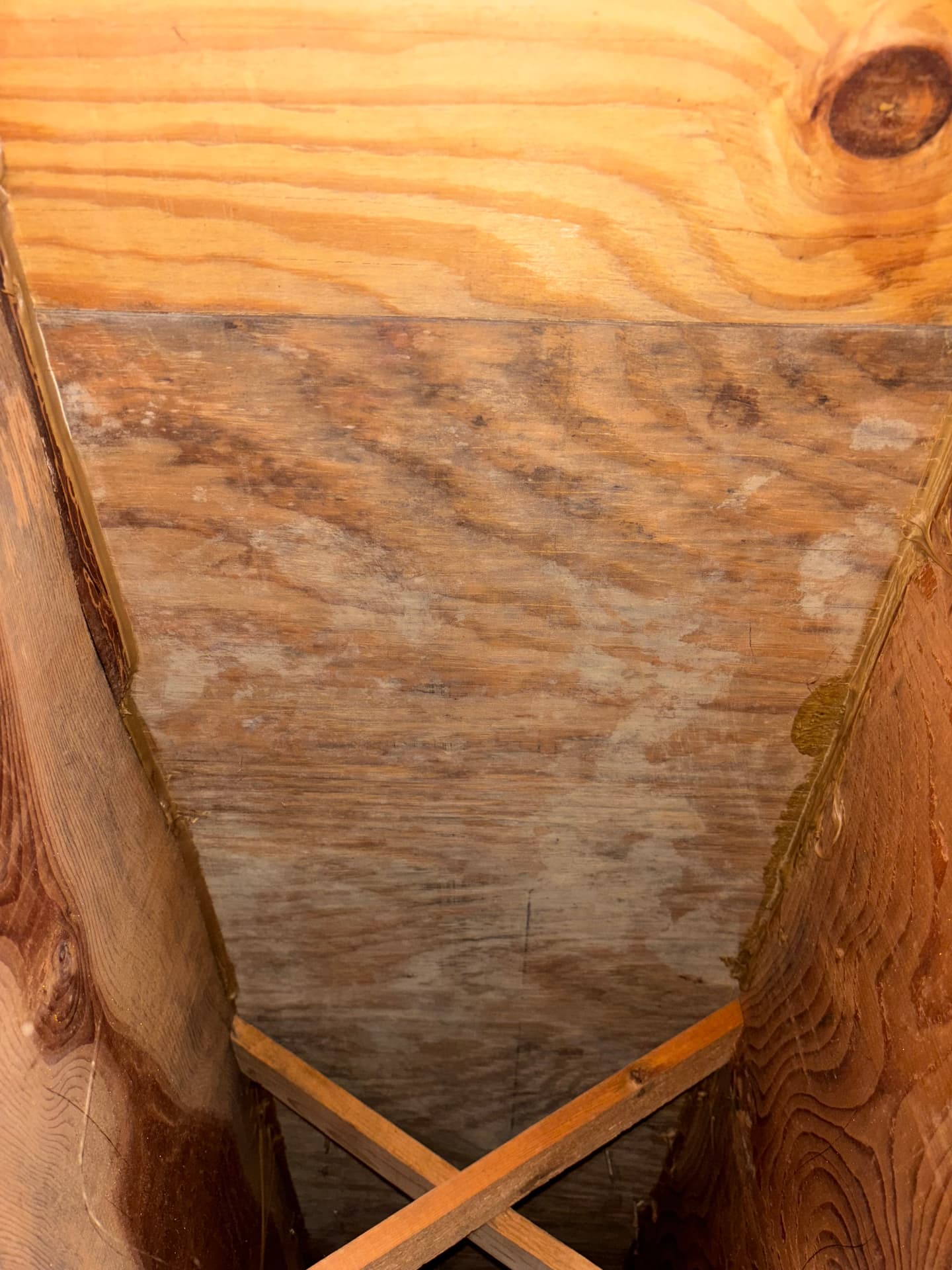 Crawlspaces & Subfloors — mold remediation work