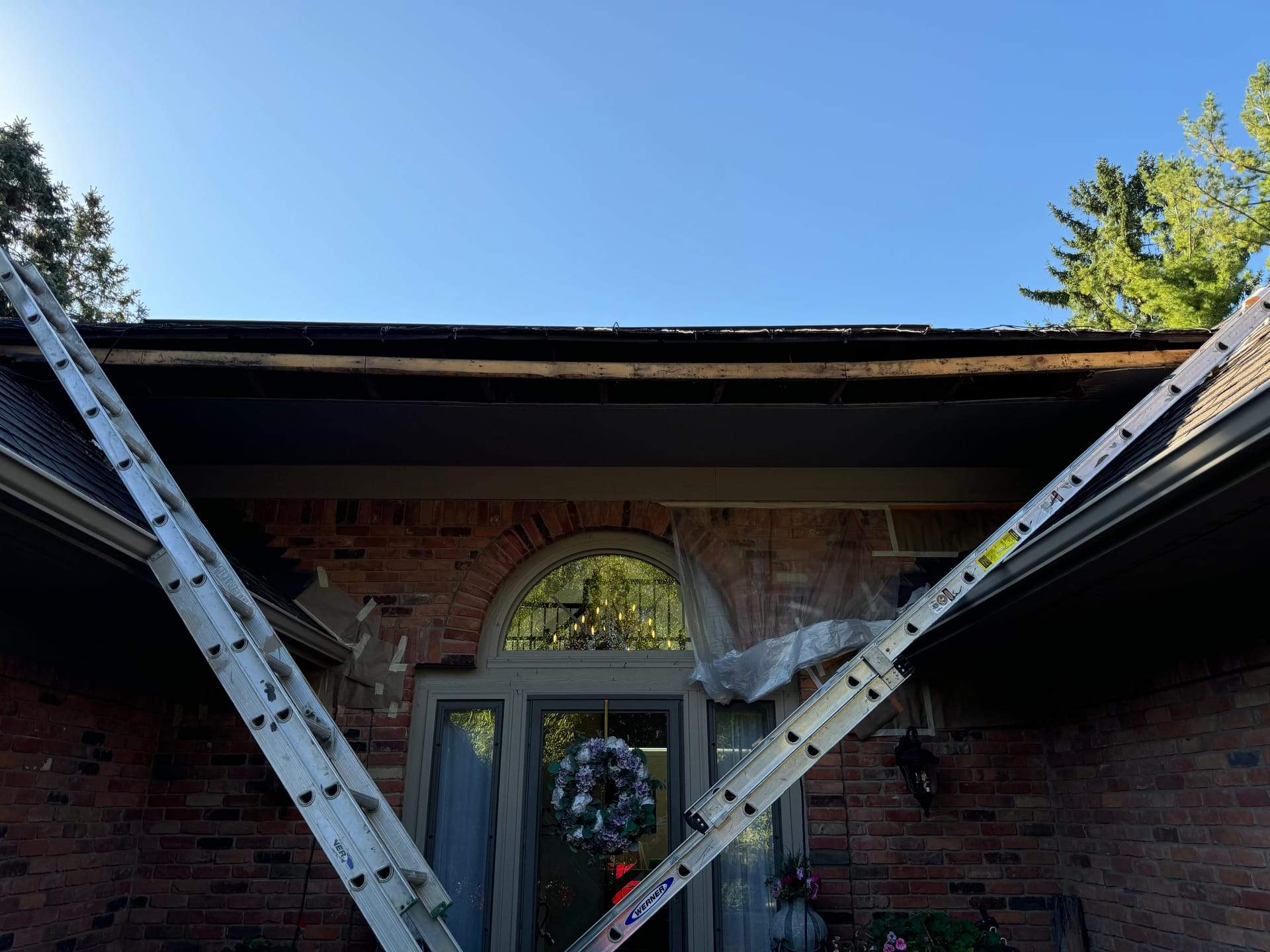 Attics & Roofs — mold remediation work