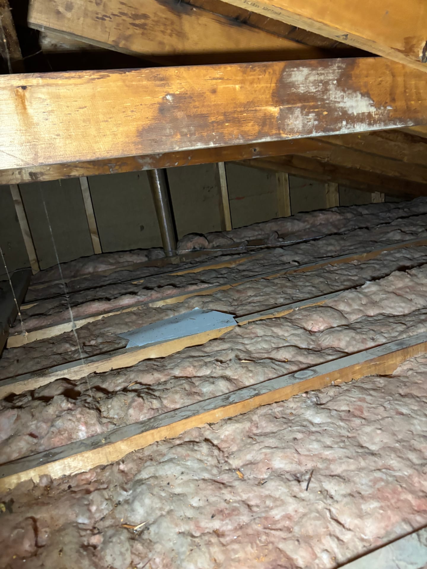 Attics & Roofs — mold remediation work