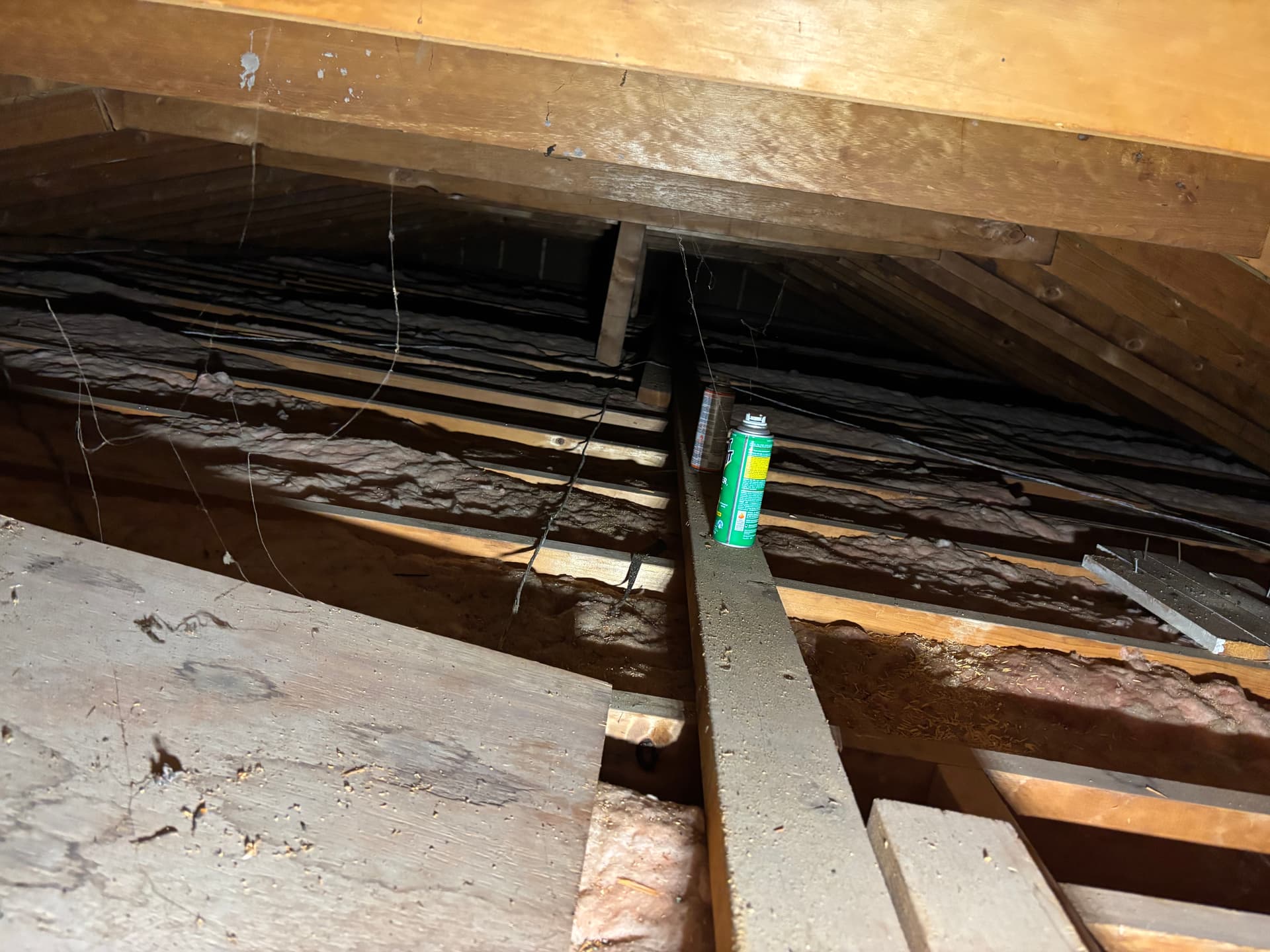 Attics & Roofs — mold remediation work