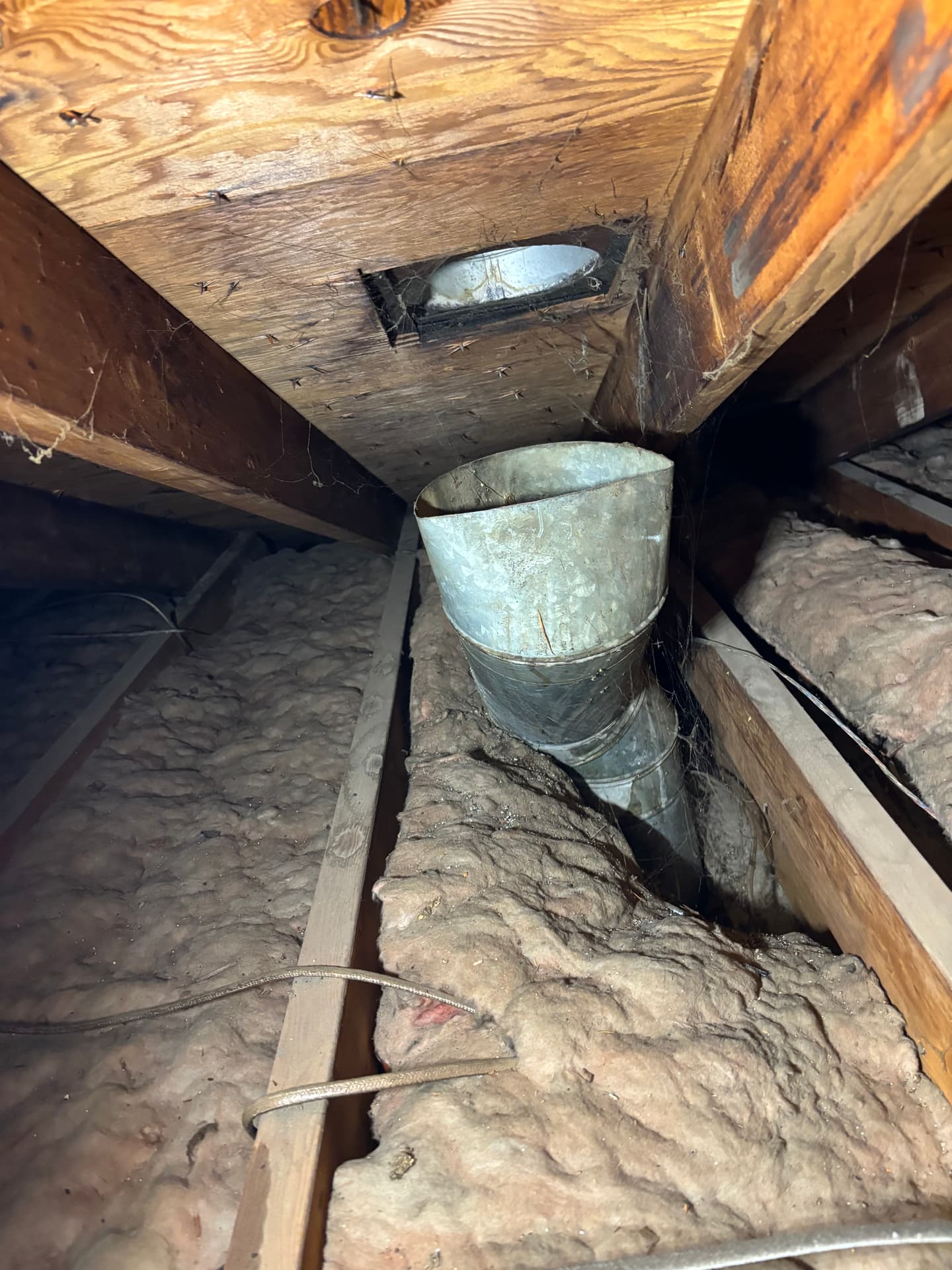 Attics & Roofs — mold remediation work