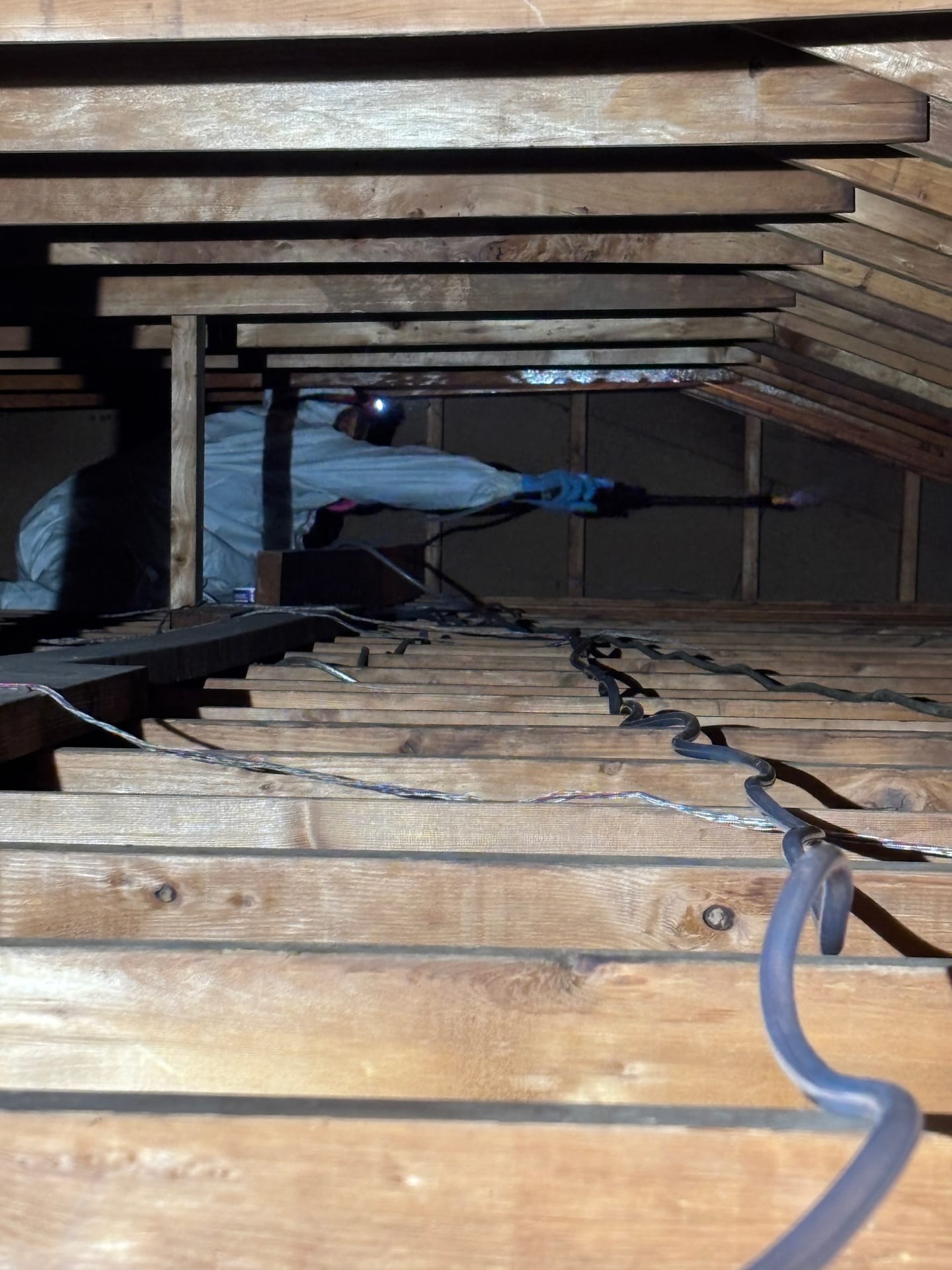 Attics & Roofs — mold remediation work
