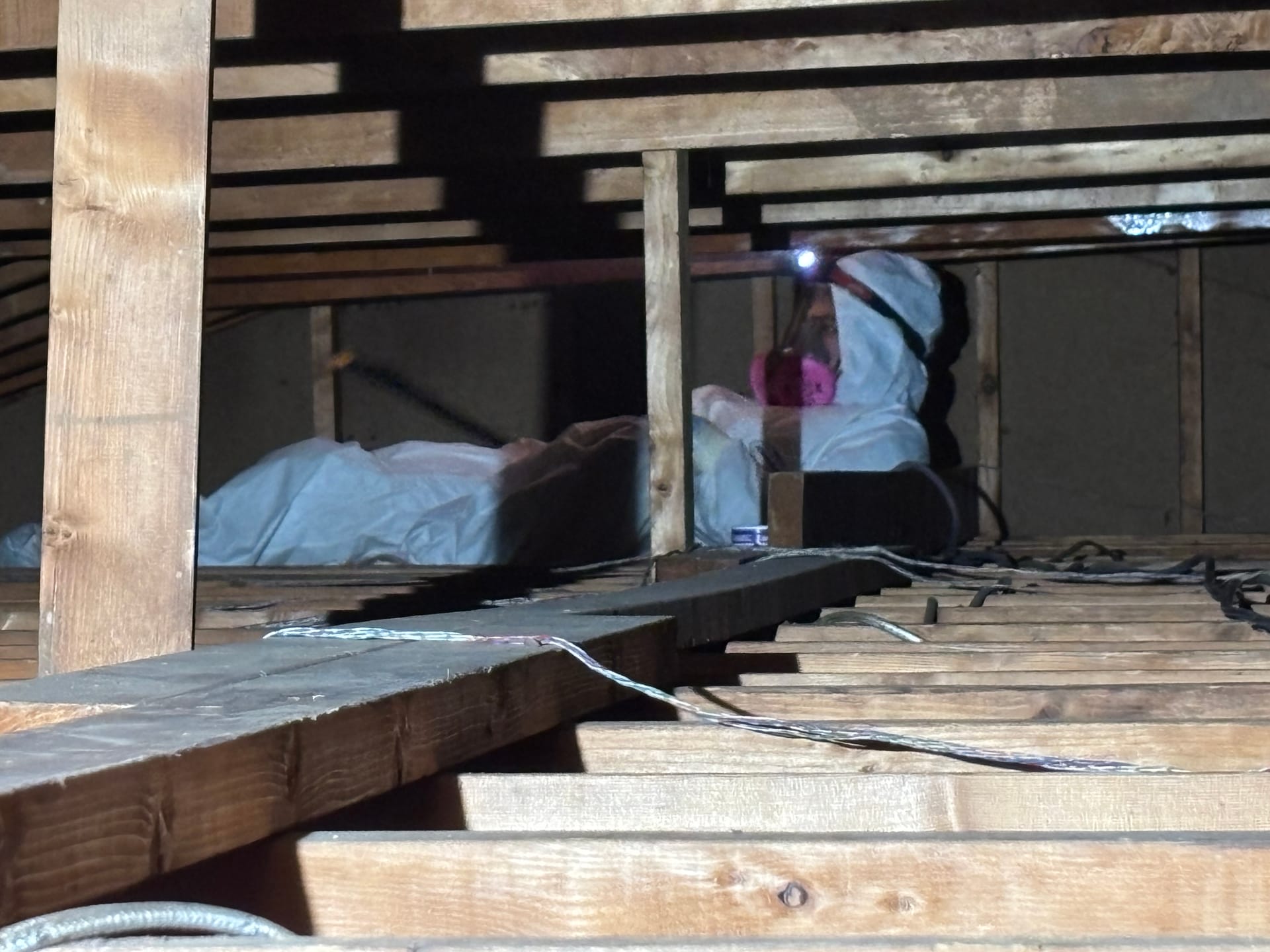 Remediation in Progress — mold remediation work