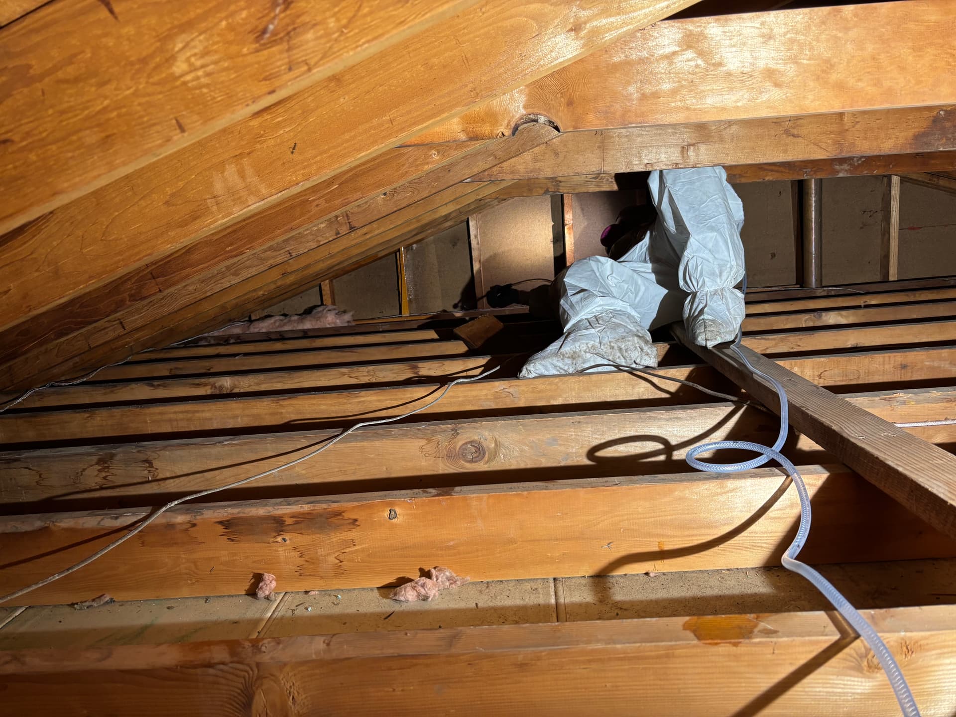 Attics & Roofs — mold remediation work