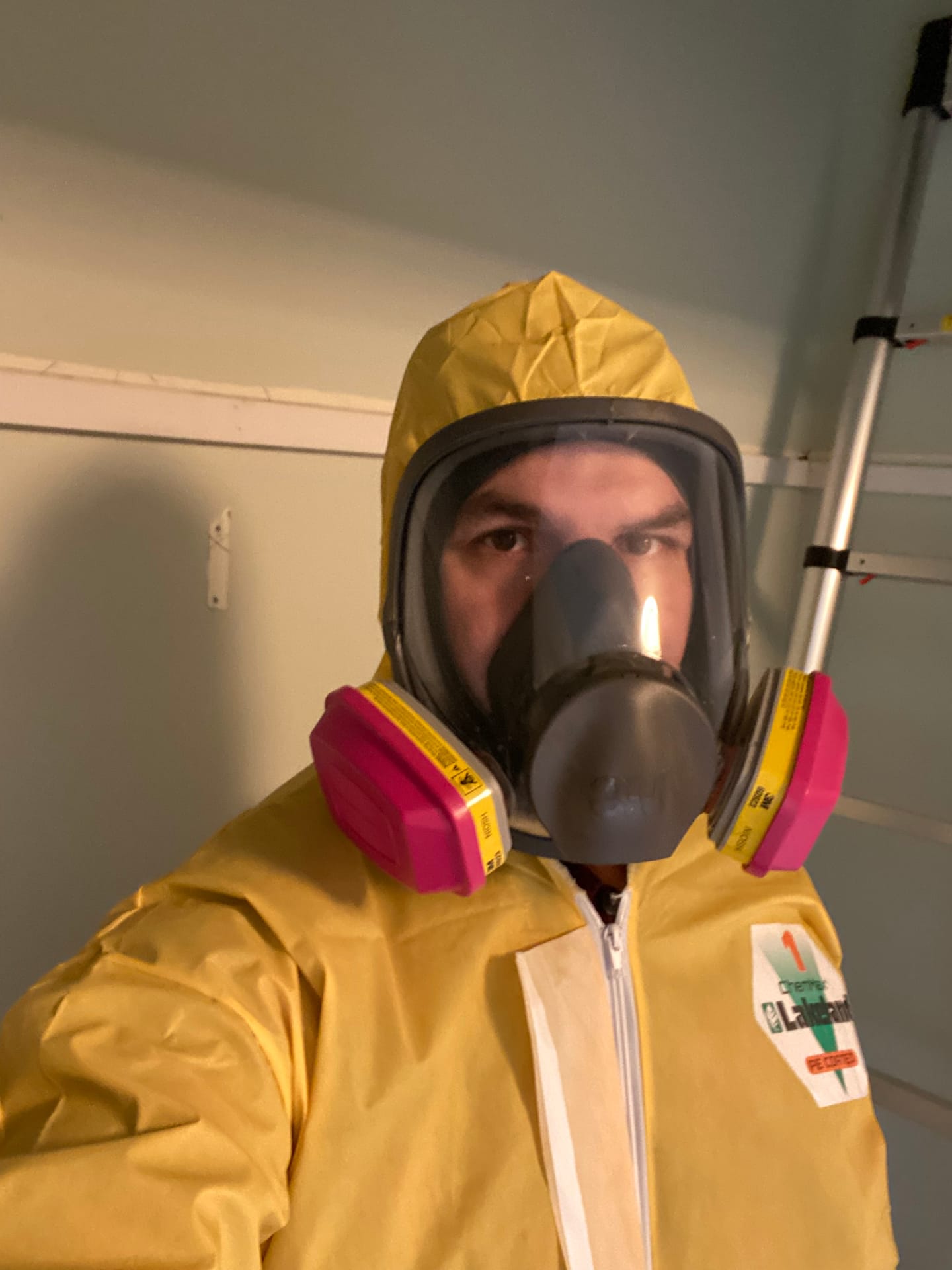Remediation in Progress — mold remediation work