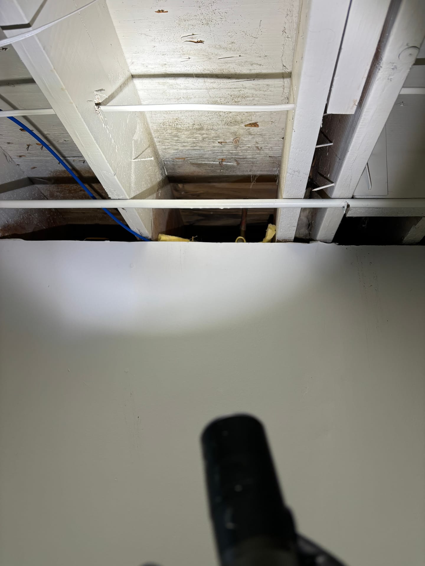 Crawlspaces & Subfloors — mold remediation work