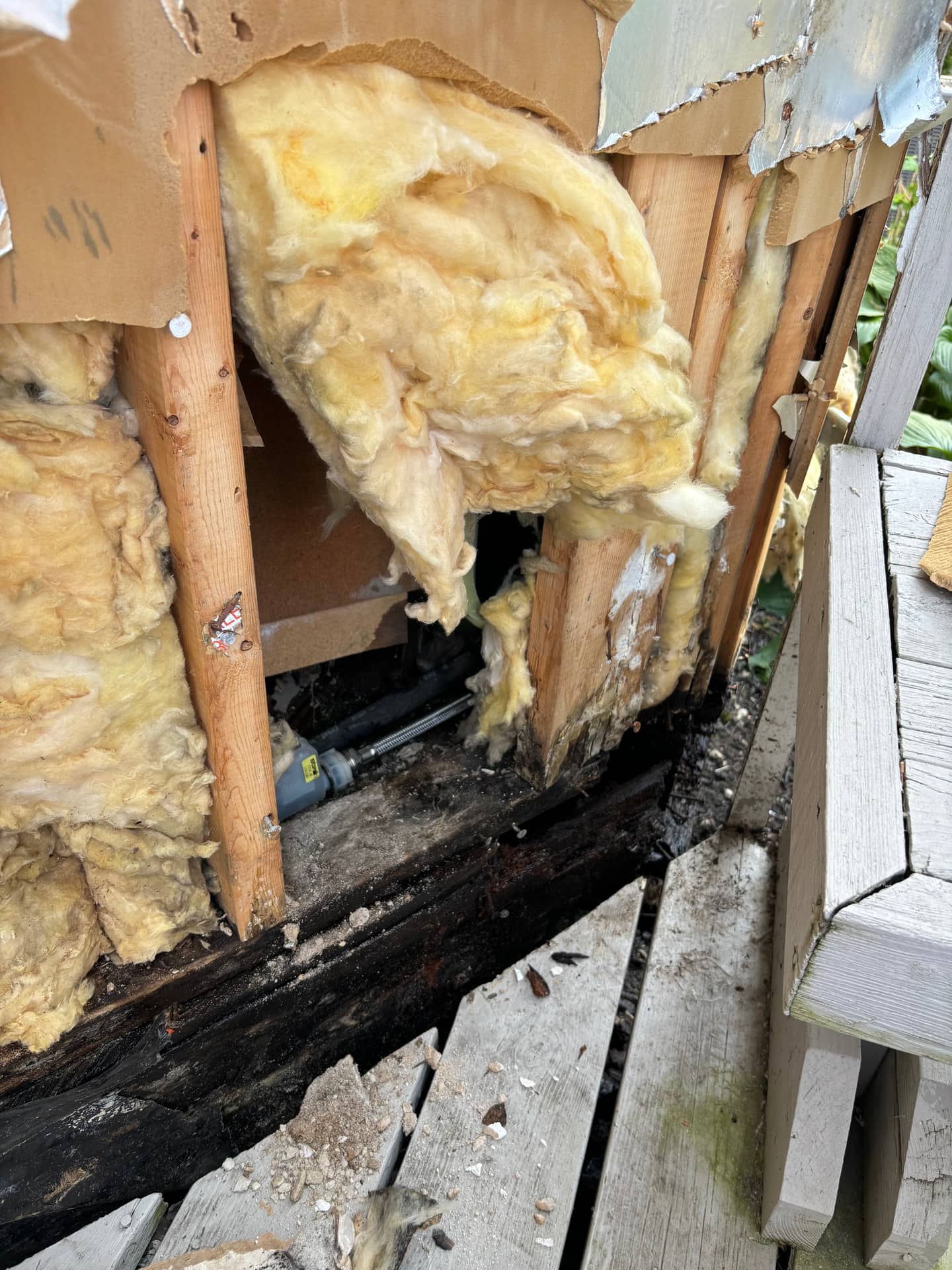 Remediation in Progress — mold remediation work