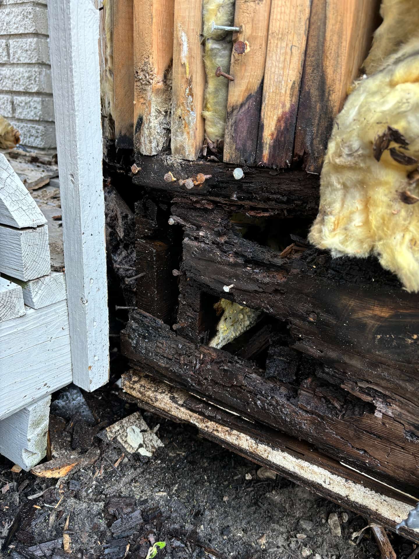 Remediation in Progress — mold remediation work