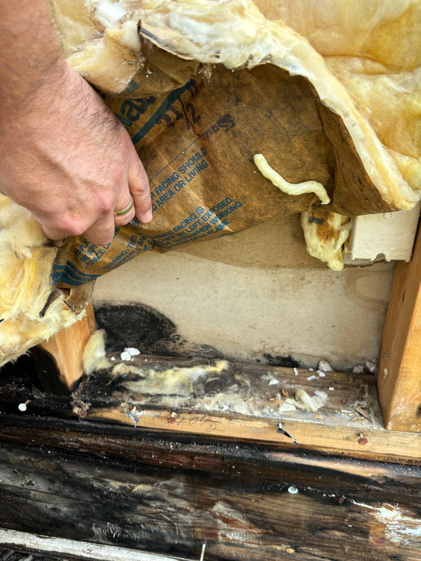 Remediation in Progress — mold remediation work