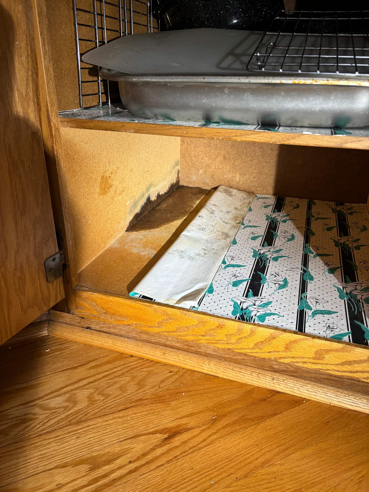 Bathrooms & Living Spaces — mold remediation work