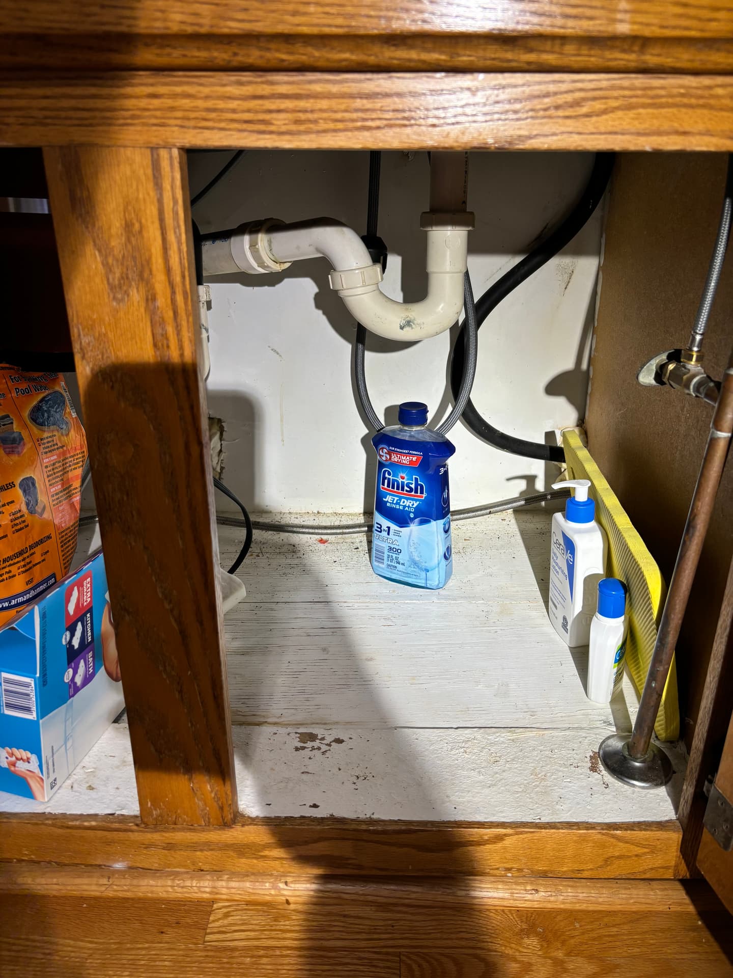 Bathrooms & Living Spaces — mold remediation work
