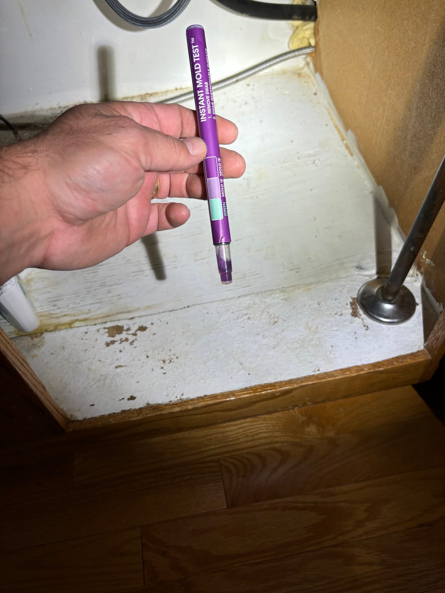 Inspection & Testing — mold remediation work