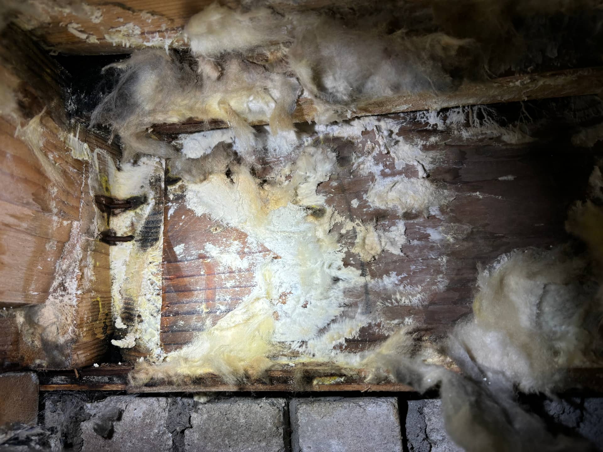 Basements & Walls — mold remediation work