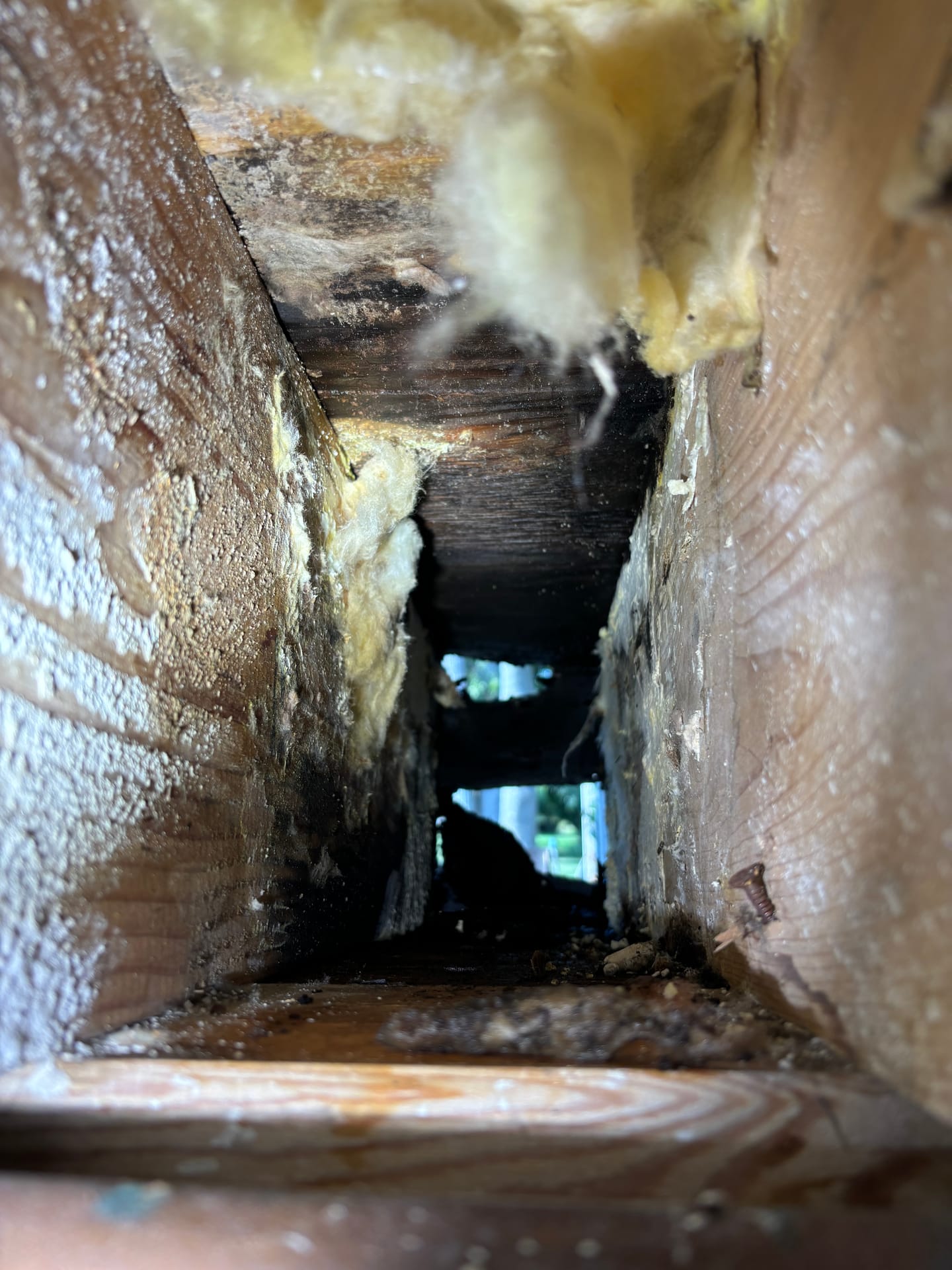 Basements & Walls — mold remediation work