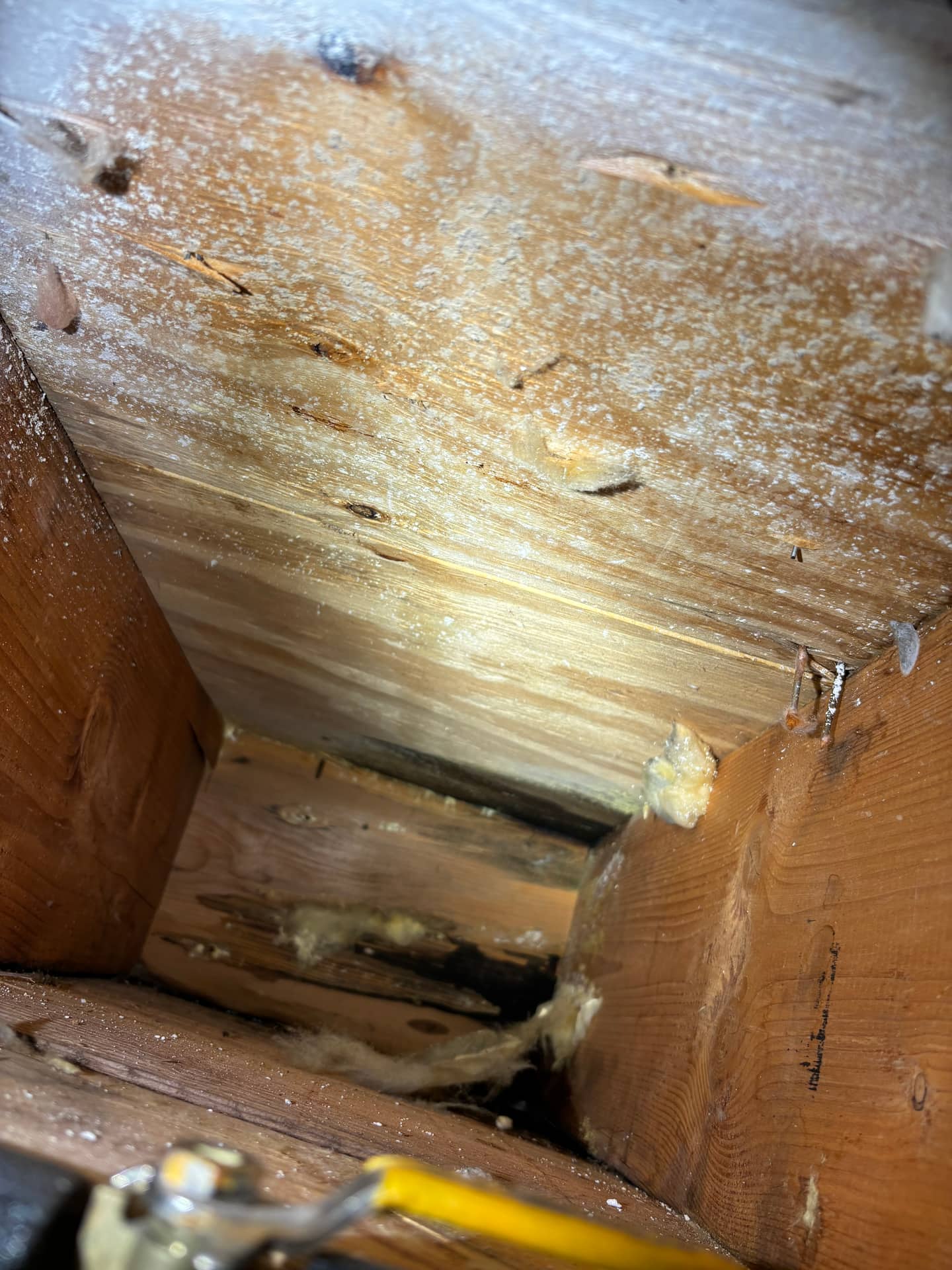 Attics & Roofs — mold remediation work