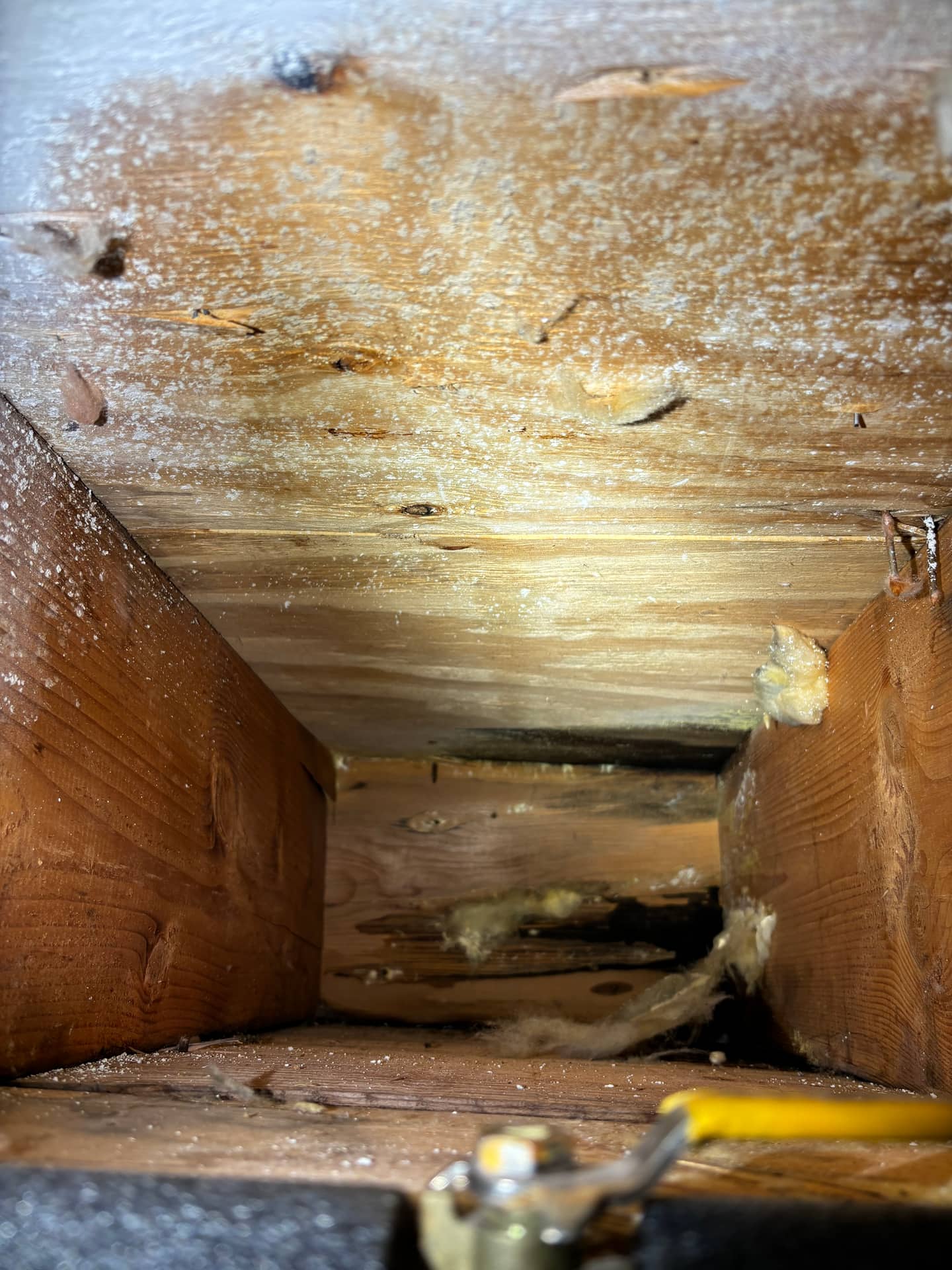 Attics & Roofs — mold remediation work