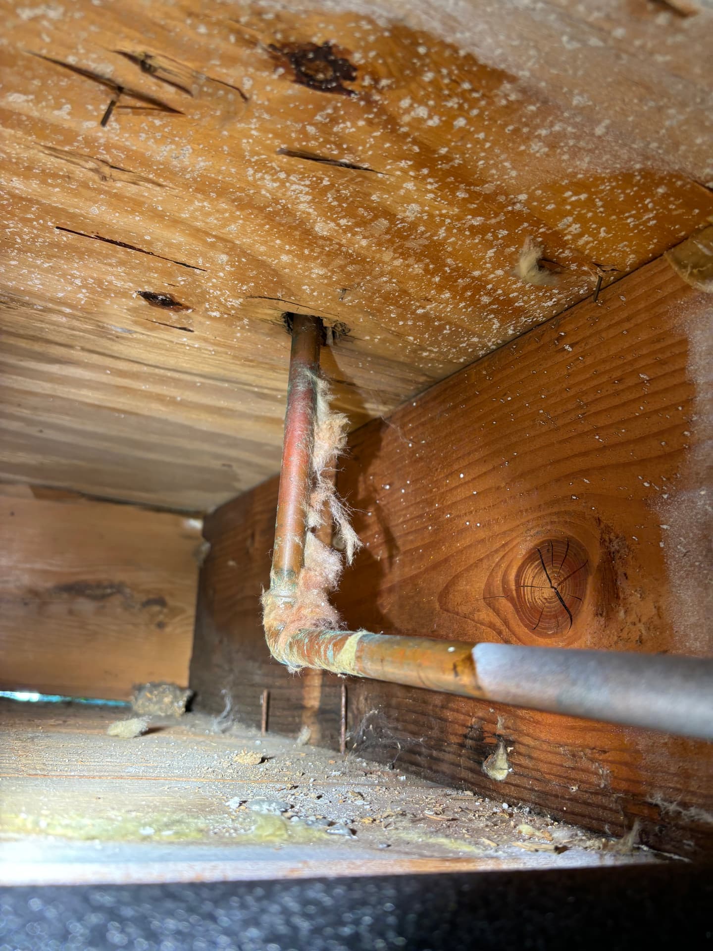 Crawlspaces & Subfloors — mold remediation work