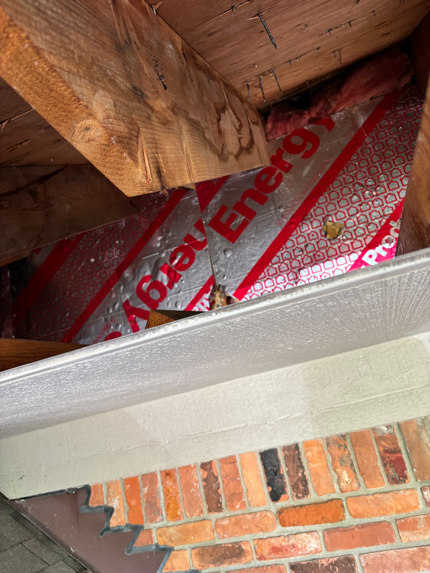 Attics & Roofs — mold remediation work