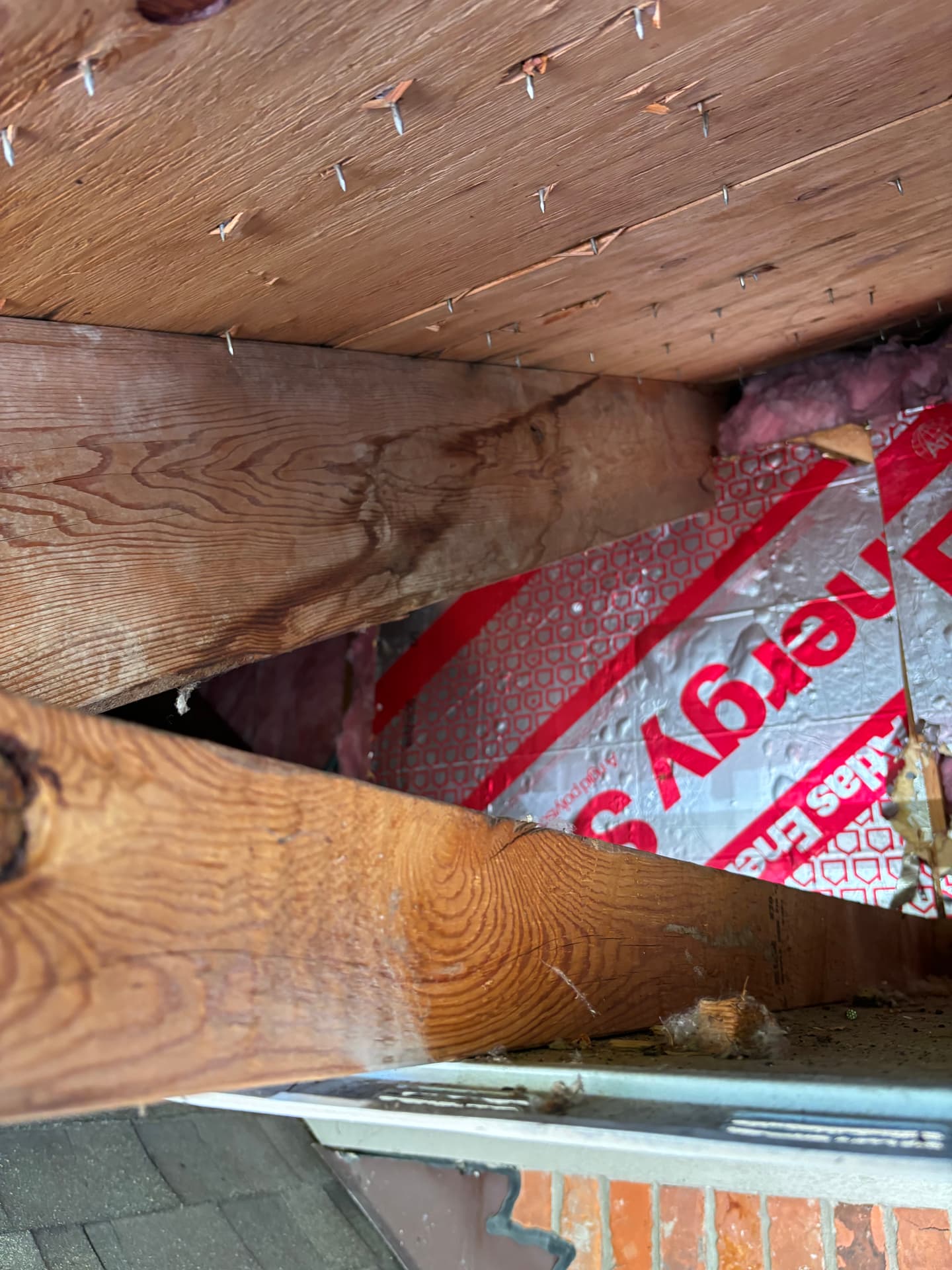 Attics & Roofs — mold remediation work