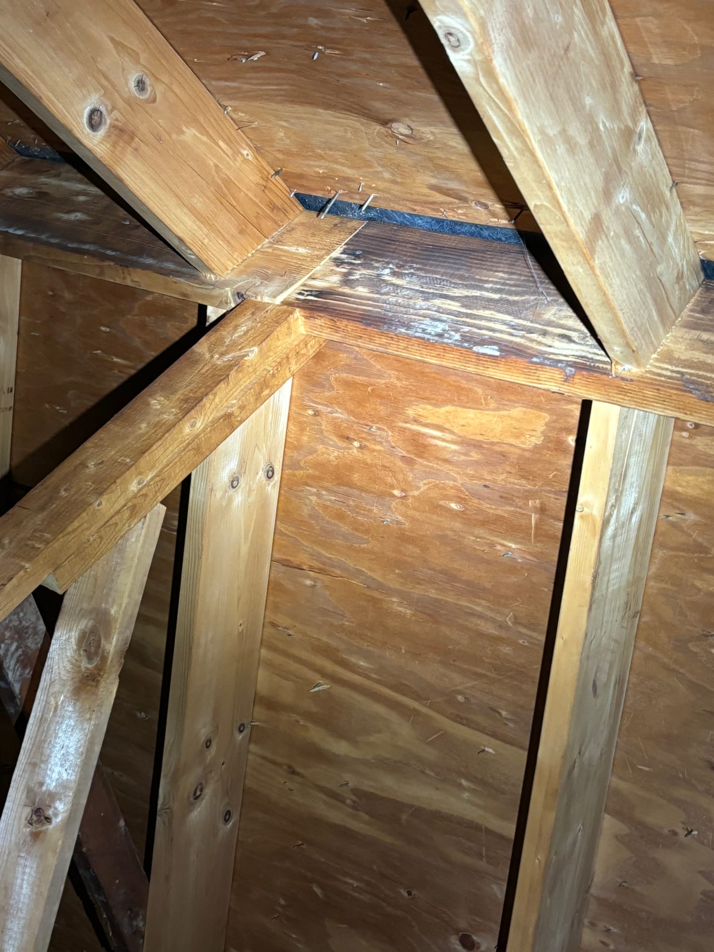 Attics & Roofs — mold remediation work
