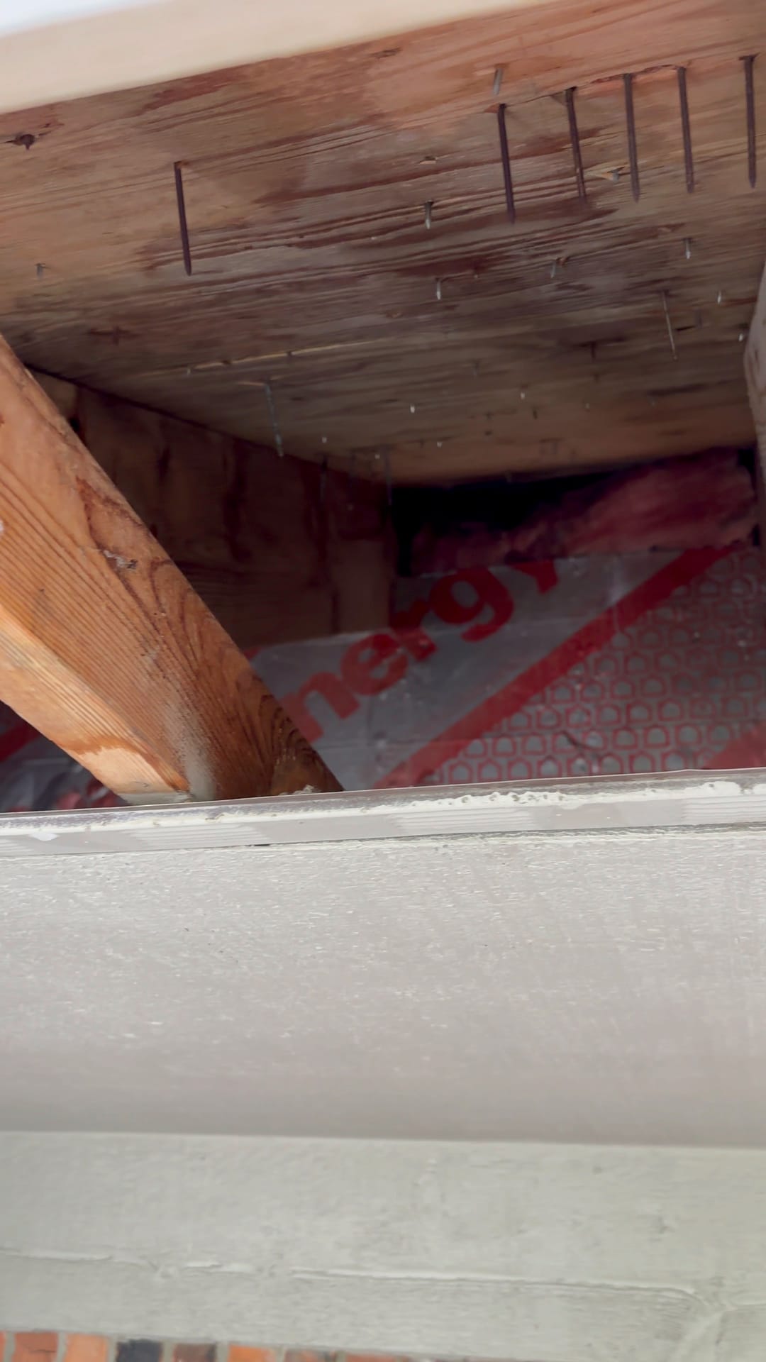 Attics & Roofs — mold remediation work