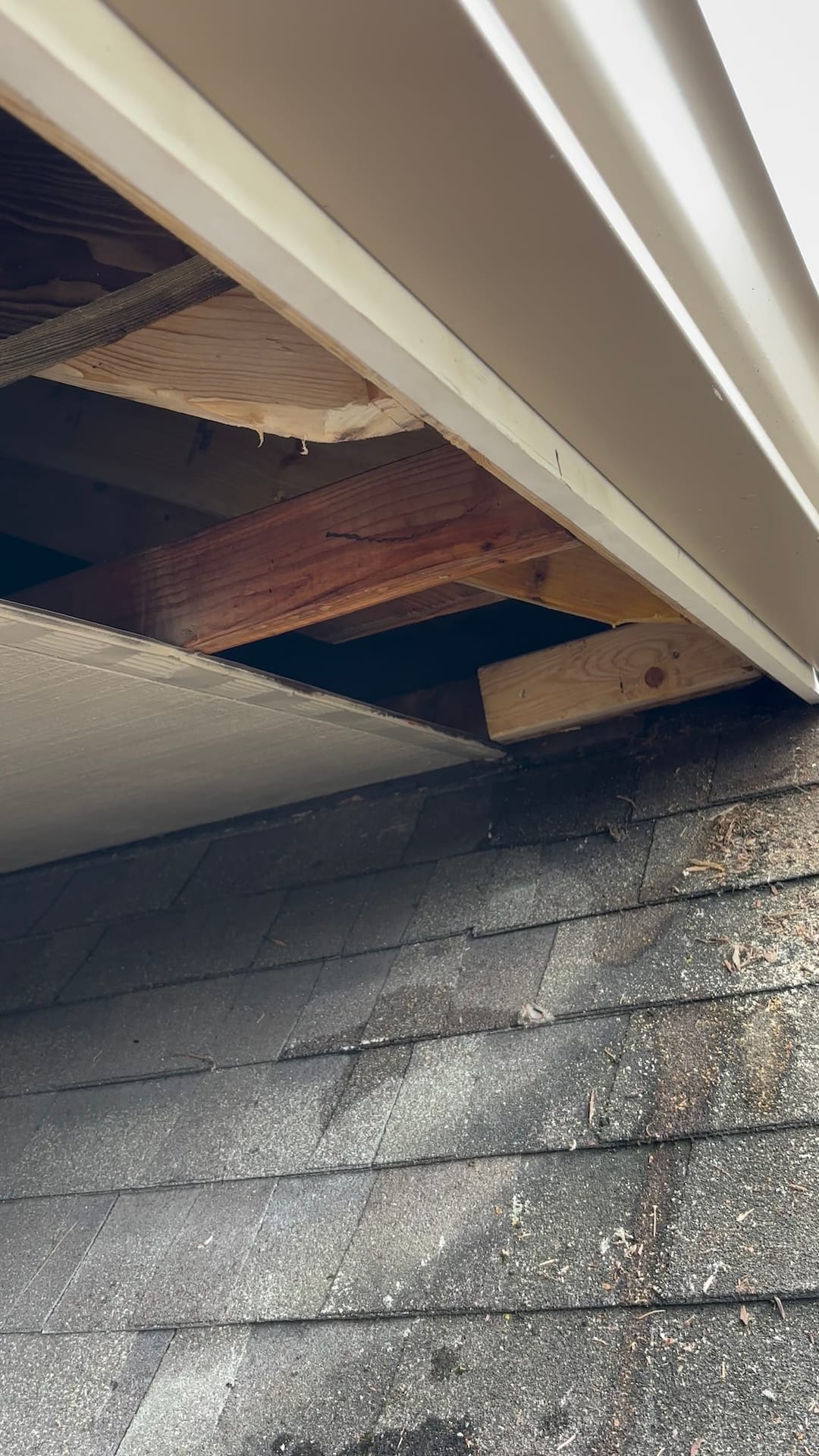 Attics & Roofs — mold remediation work