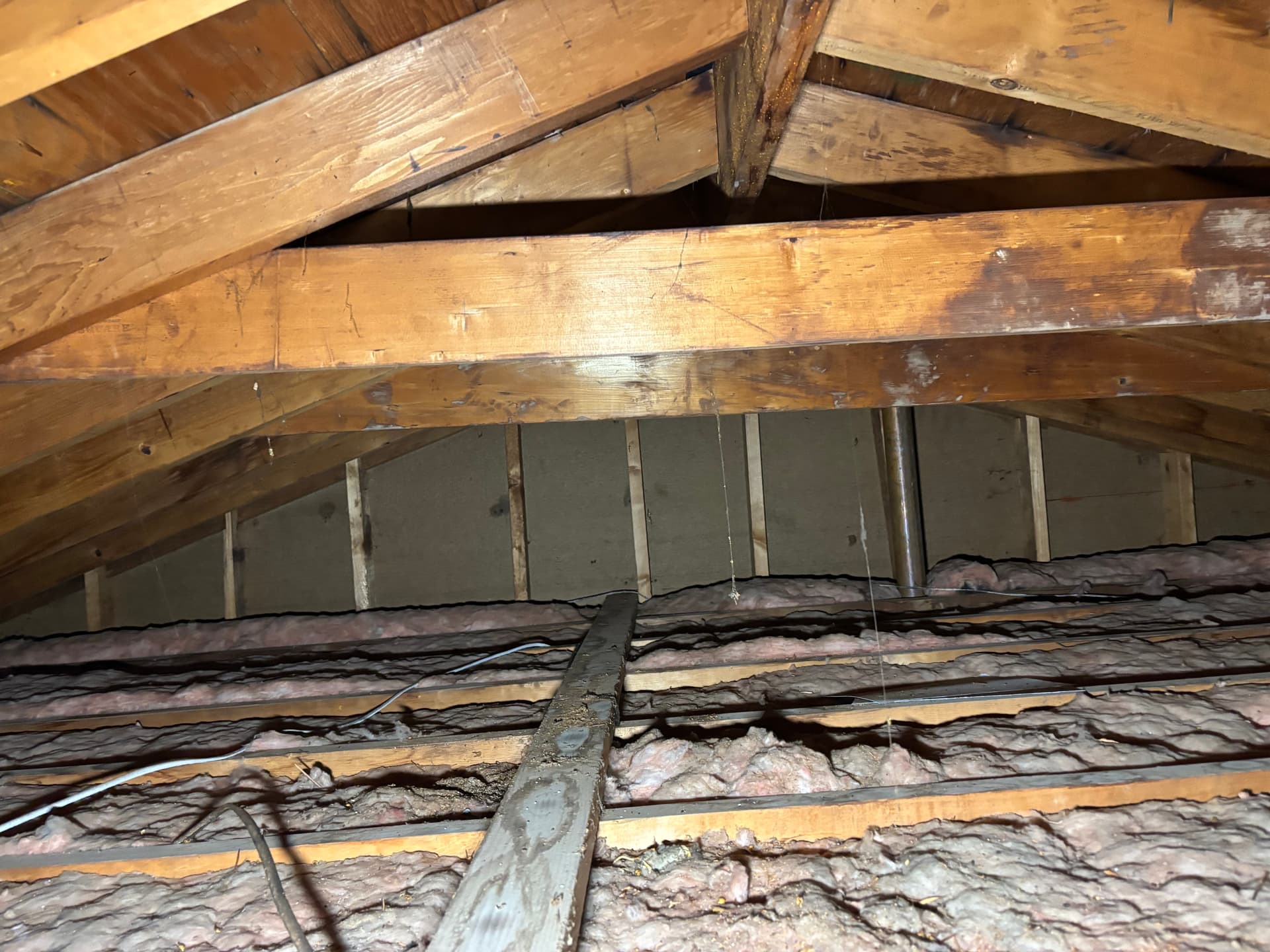 Attic & Crawlspace Mold